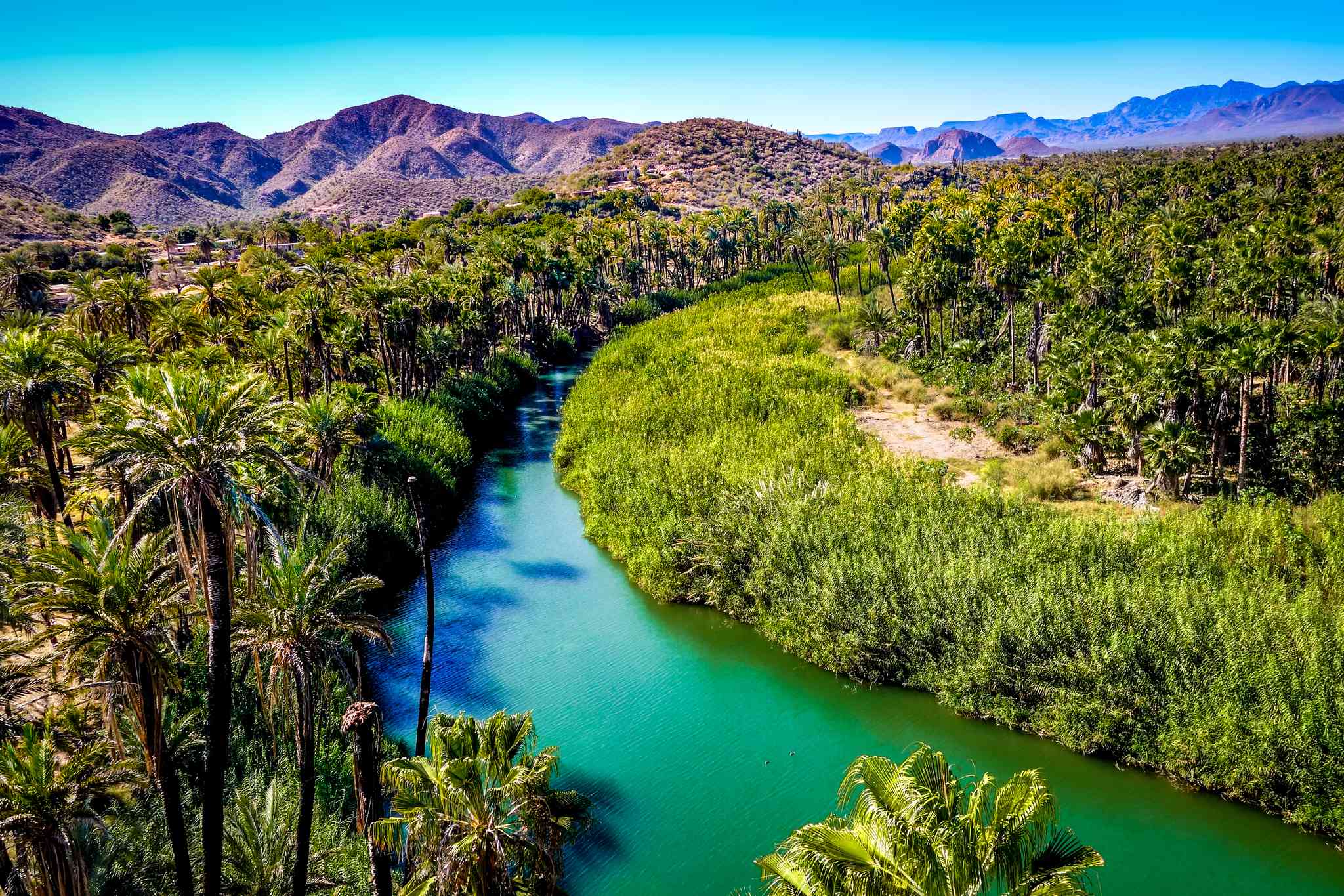 Vacker vy över Mulege - privat dagsutflykt från La Paz - foto 2