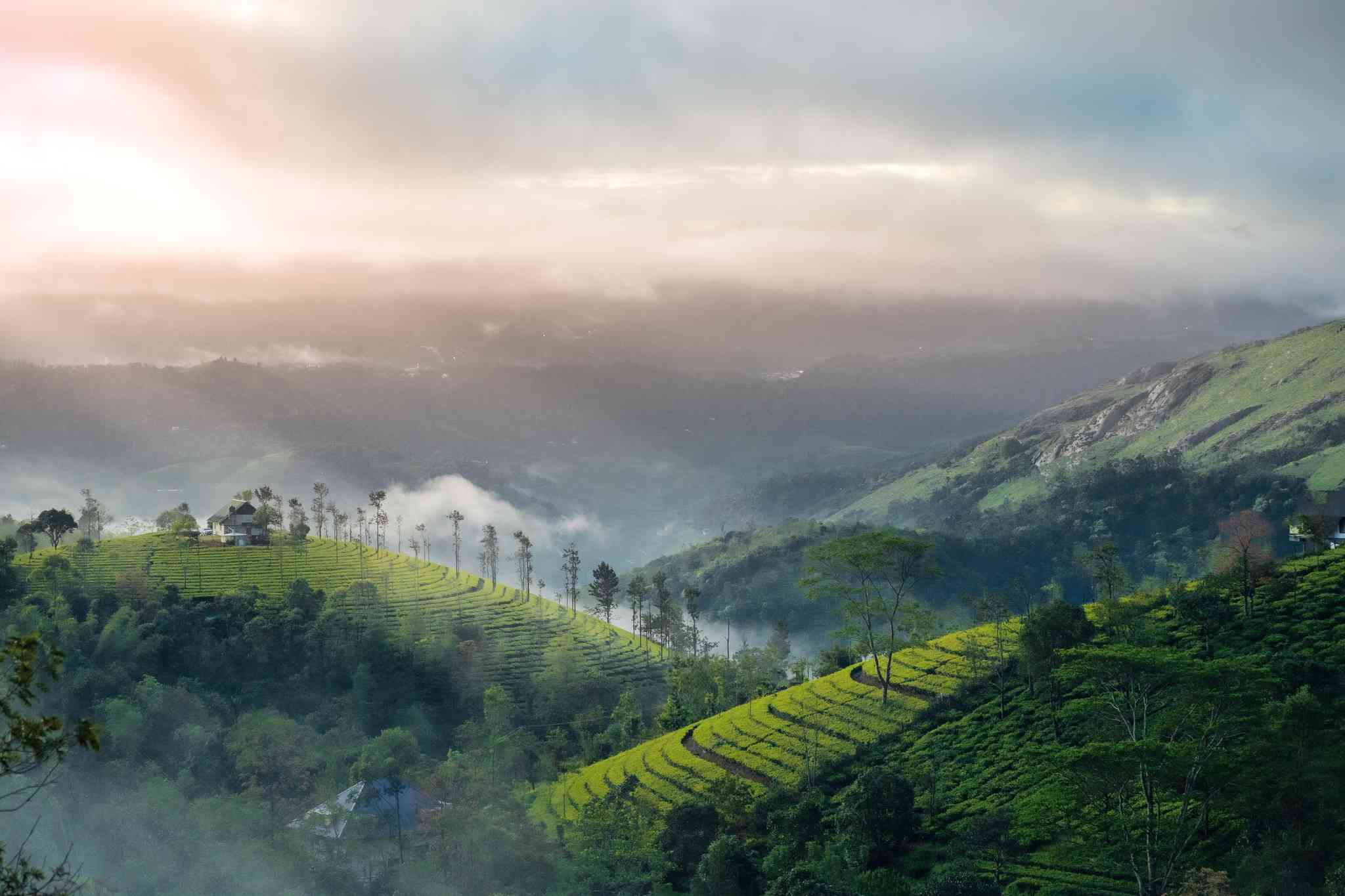 Vue pittoresque de Kochi - excursion privée d'une journée depuis Munnar - photo 6
