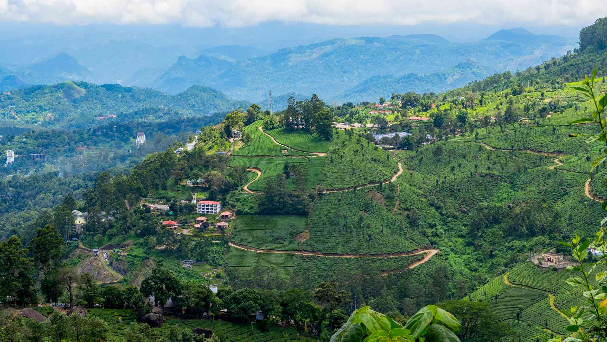 Vue pittoresque de Kochi - excursion privée d'une journée depuis Munnar - photo 5