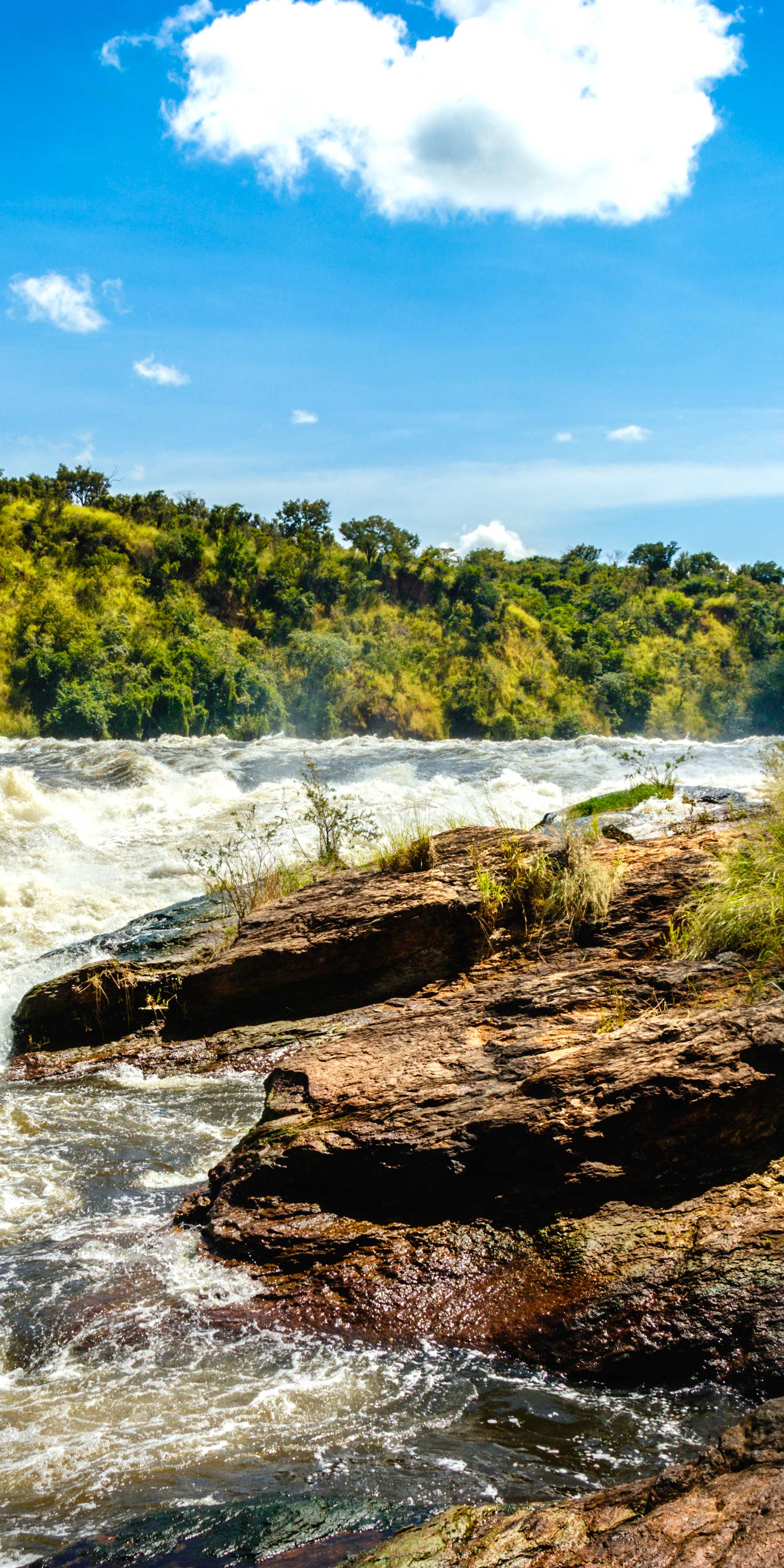 Murchison Falls