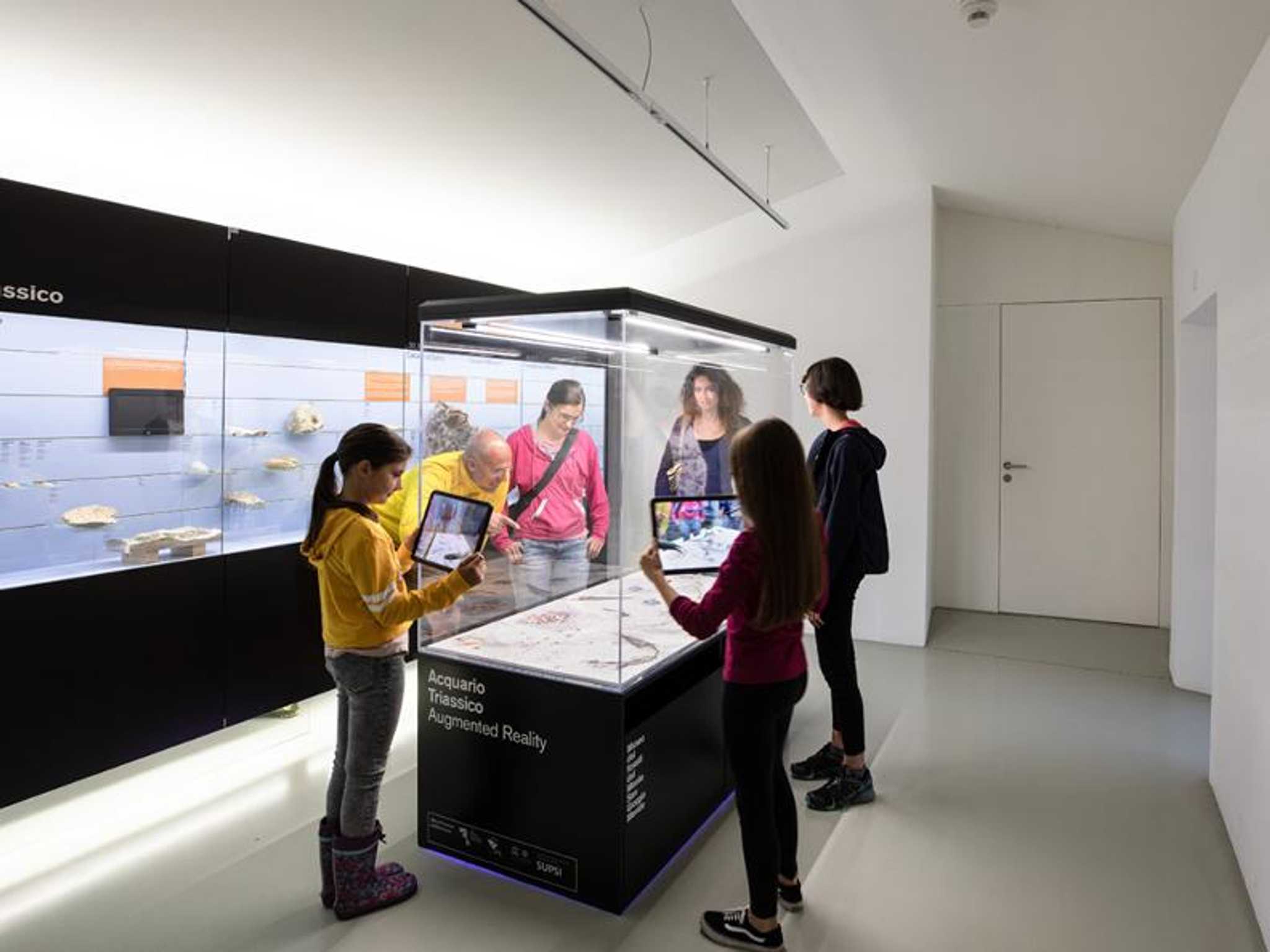 Parada no itinerário em Museo dei fossili del Monte San Giorgio em viagem particular de um dia a partir de Bellagio