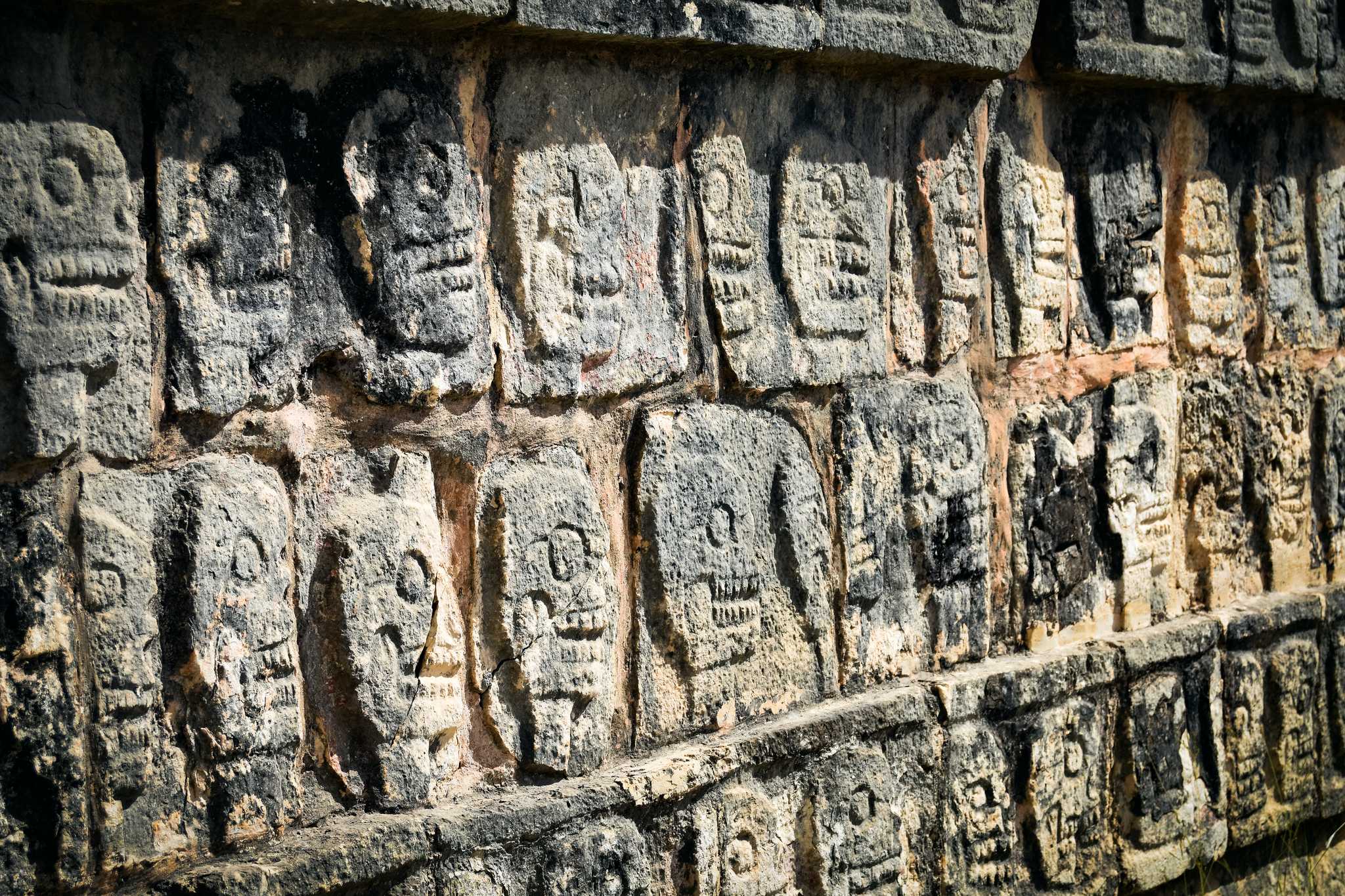 Puerto Aventuras ์์ ์ถ๋ฐํ๋ ๊ฐ์ธ์ ์ธ ํ๋ฃจ ์ฌํ ์ค Muyil ์ผ์ ์ ์ง