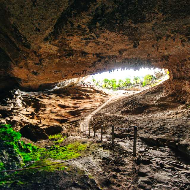 Puerto Natales to Mylodon Cave and Mirador Dorotea: Day trip