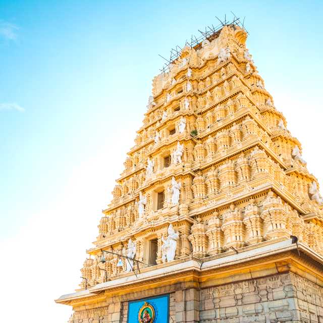 Private day trip from Bangalore to Mysuru Royal Sites