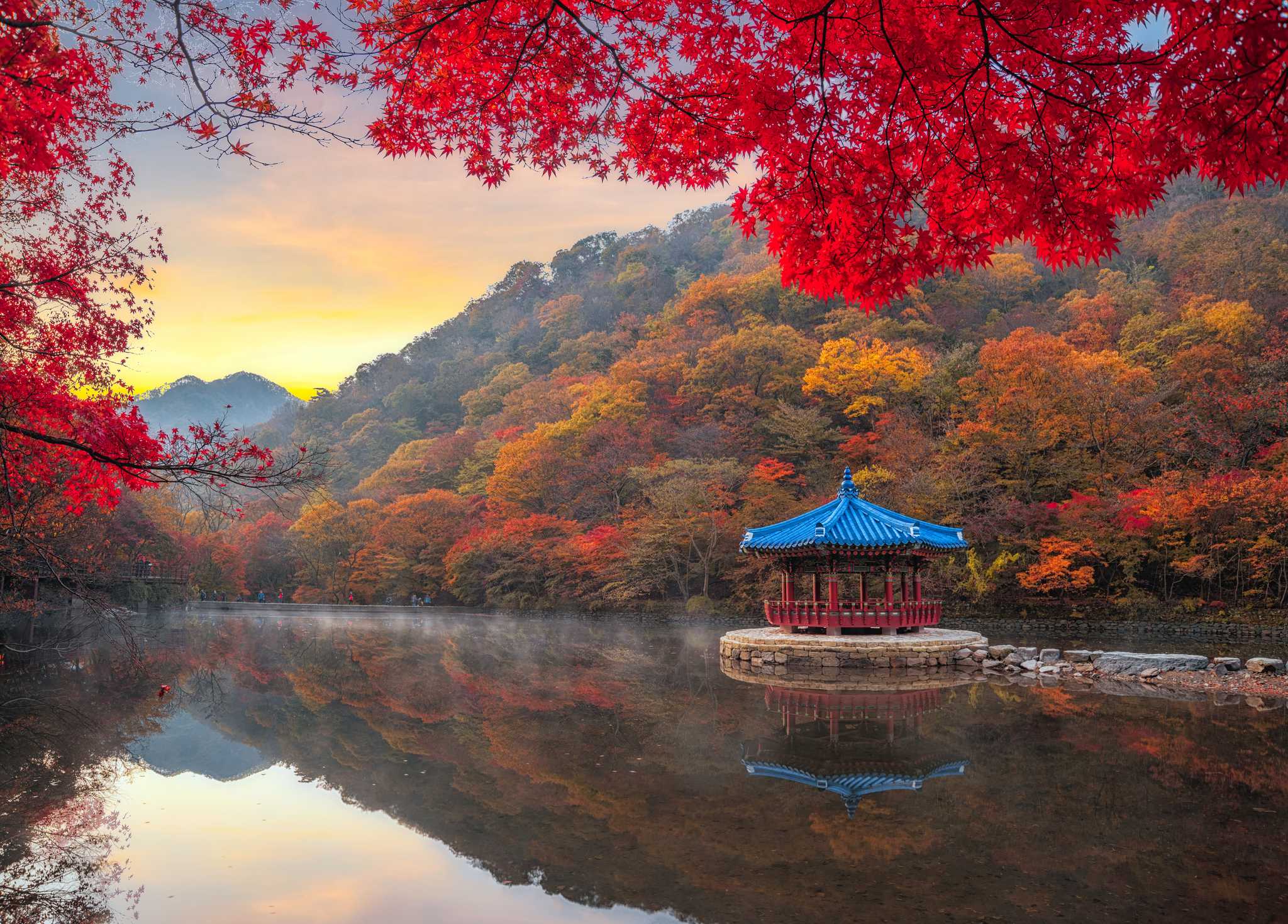 Private car transfer services in Naejangsan National Park - scenic view on Naejangsan National Park in South Korea