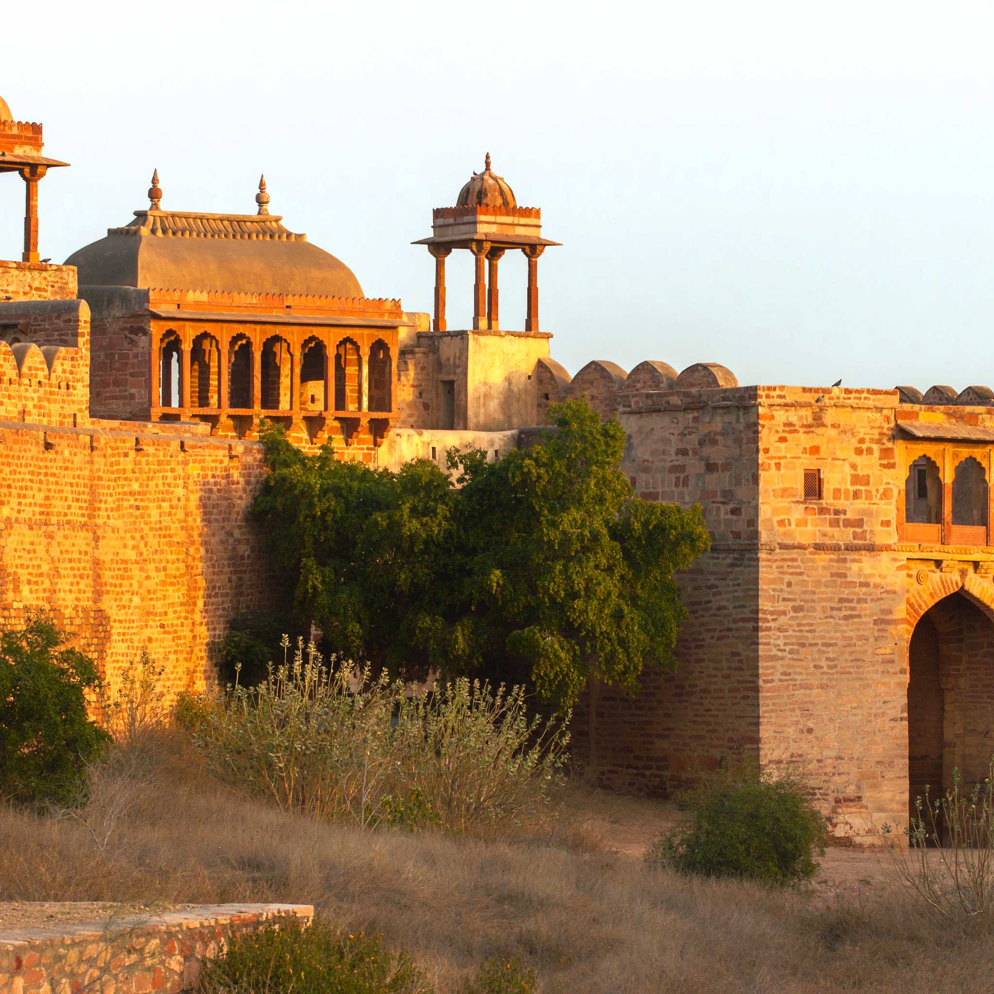Nagaur