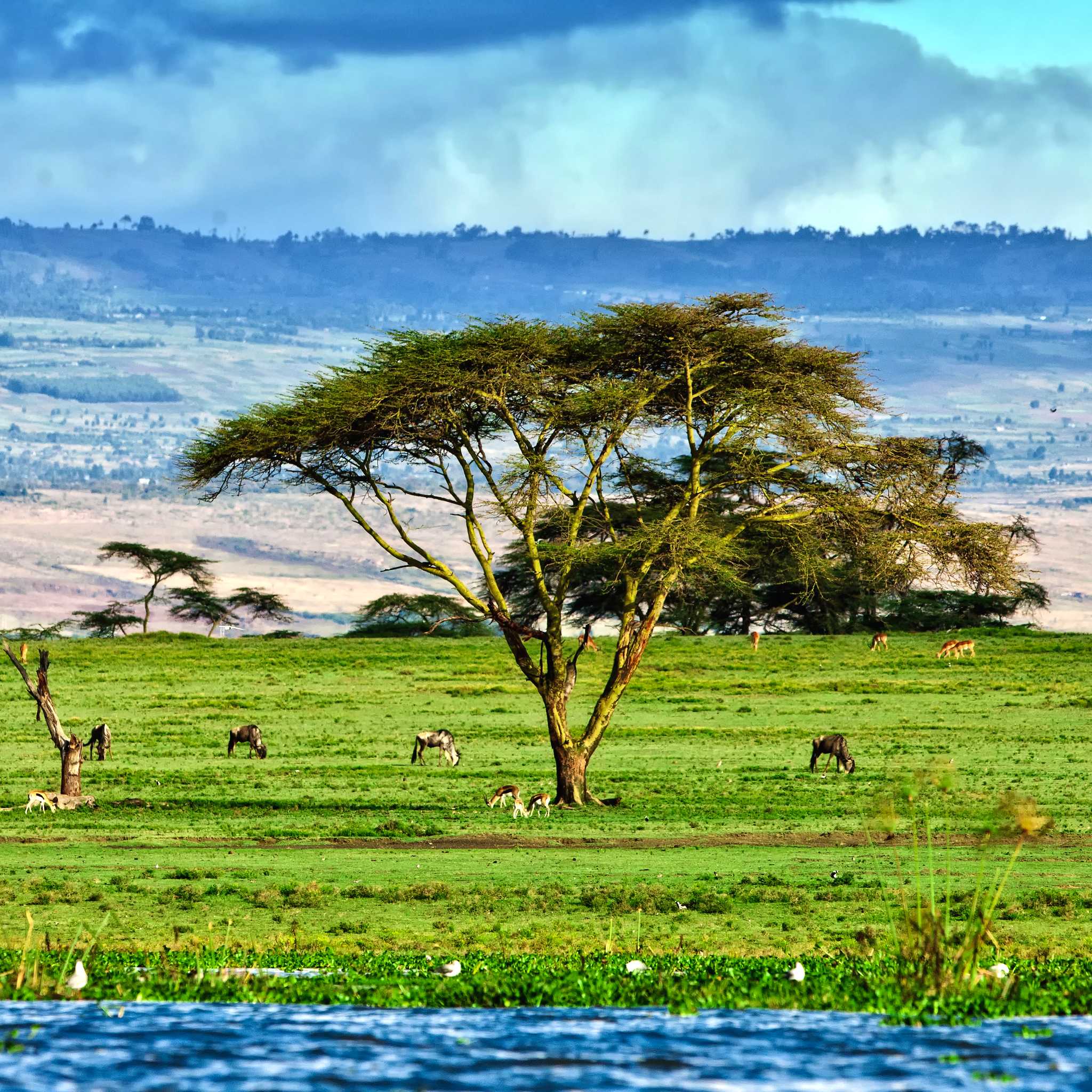 Private car transfers in Kenya from Naivasha
