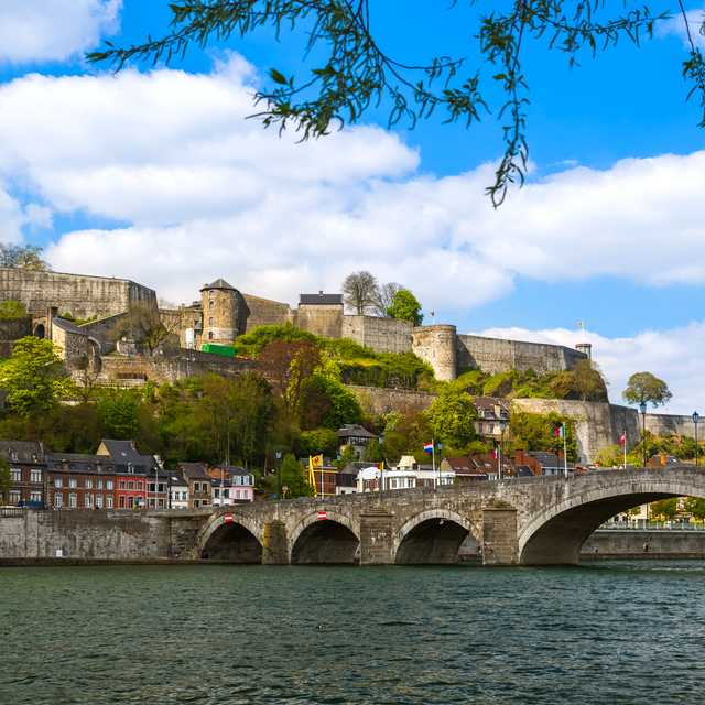 Antwerp to Namur and Dinant: Private day trip