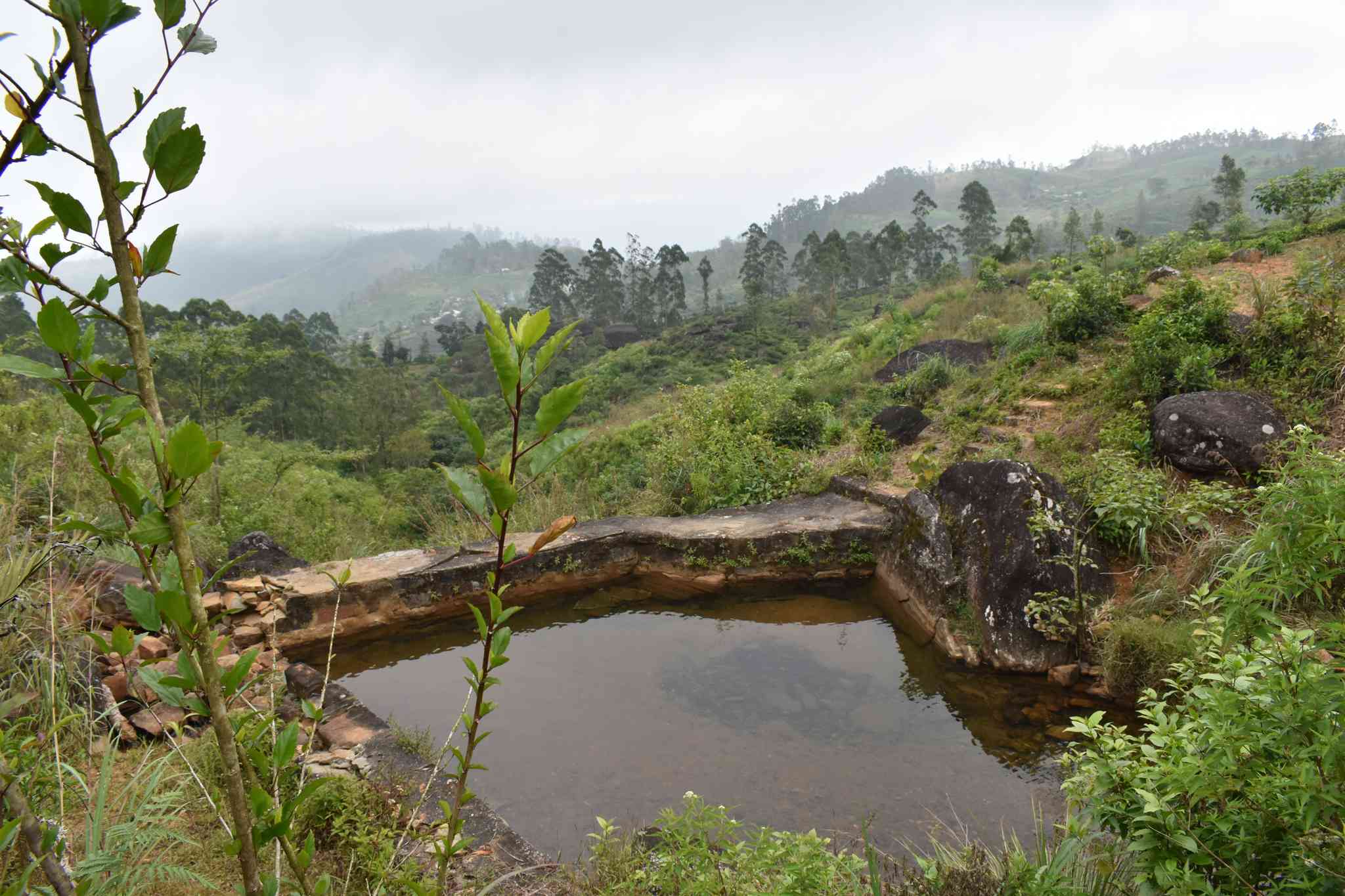 Vista panorámica de Negombo - excursión privada de un día desde Nawalapitiya - foto 7