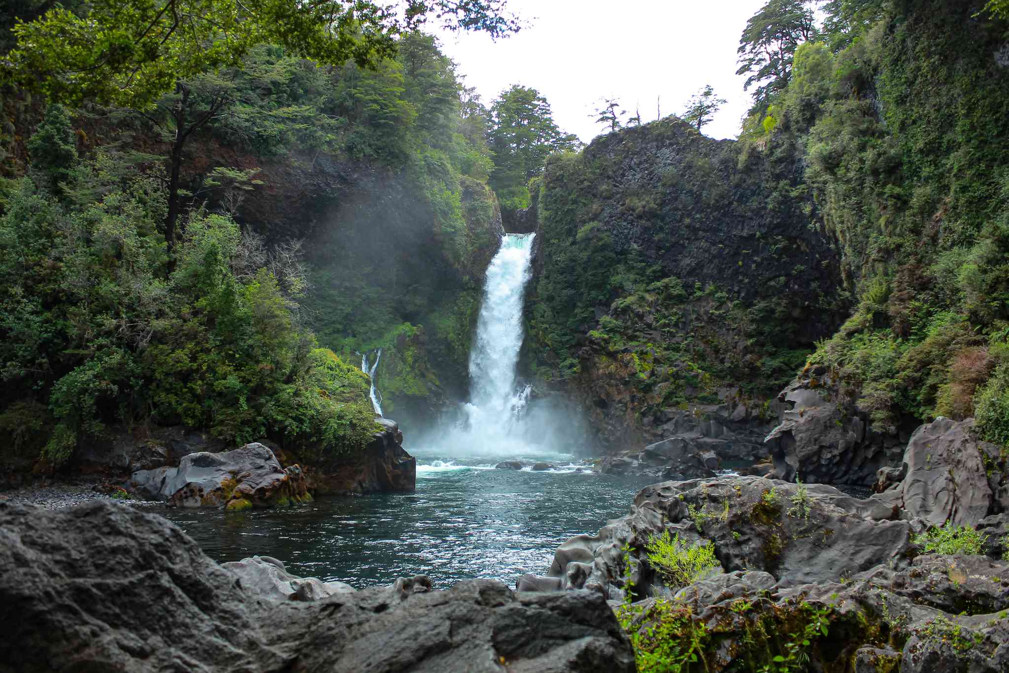 Vista cênica de Temuco - excursão particular de um dia de Neltume - foto 5