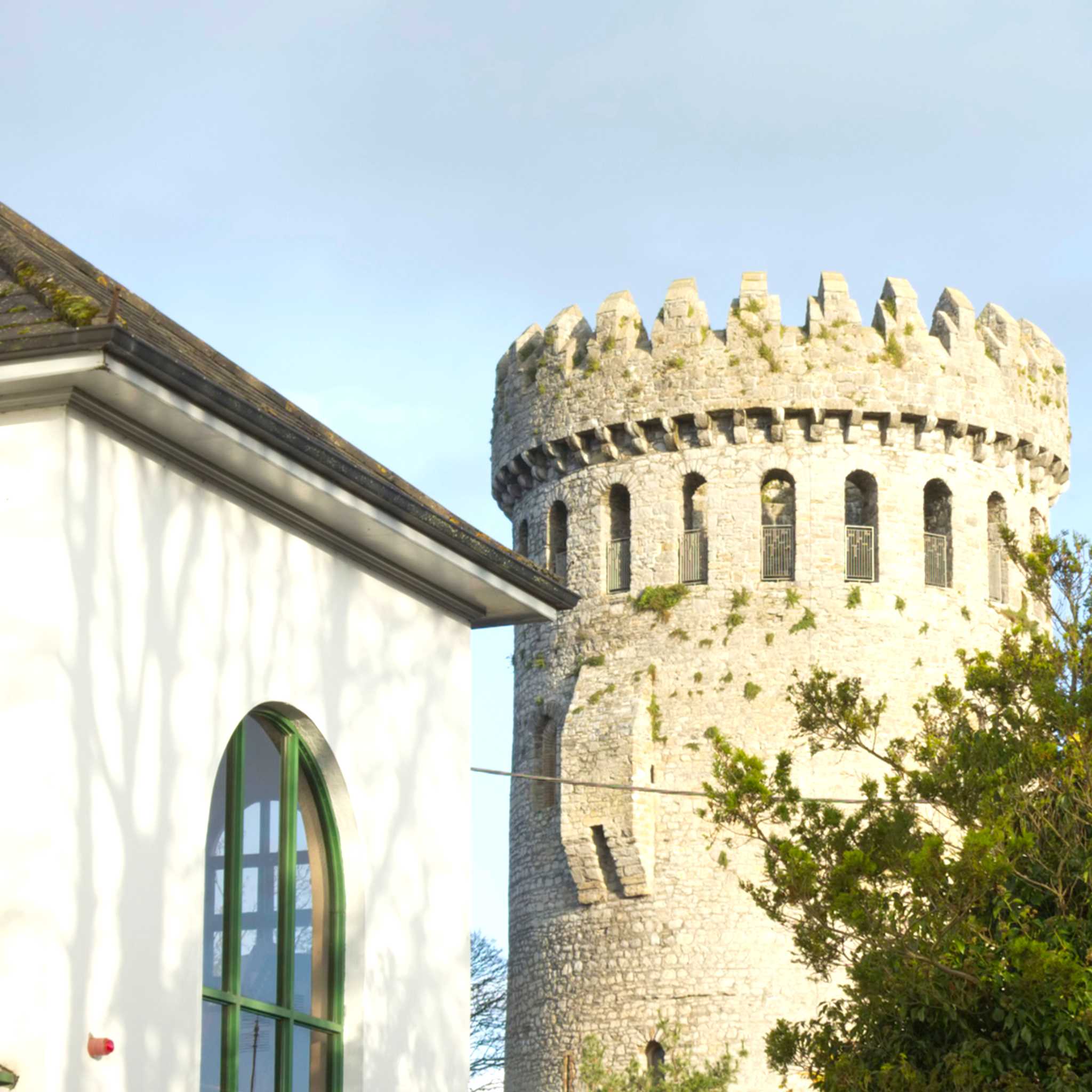 Castillo de Nenagh