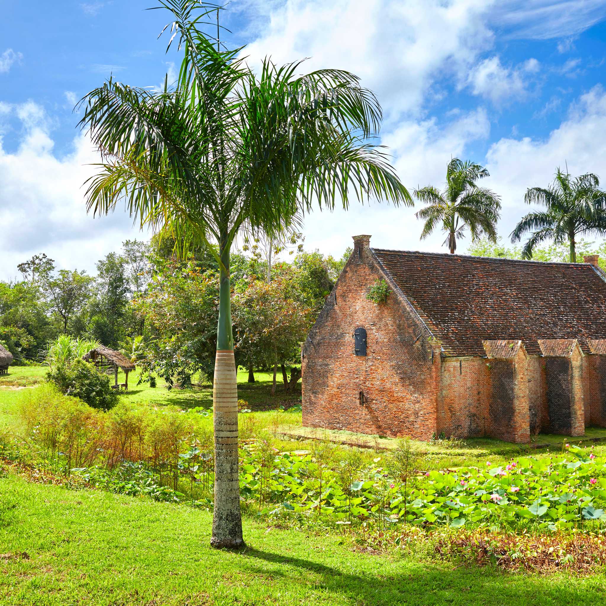 Private car transfers in Guyana from New Amsterdam