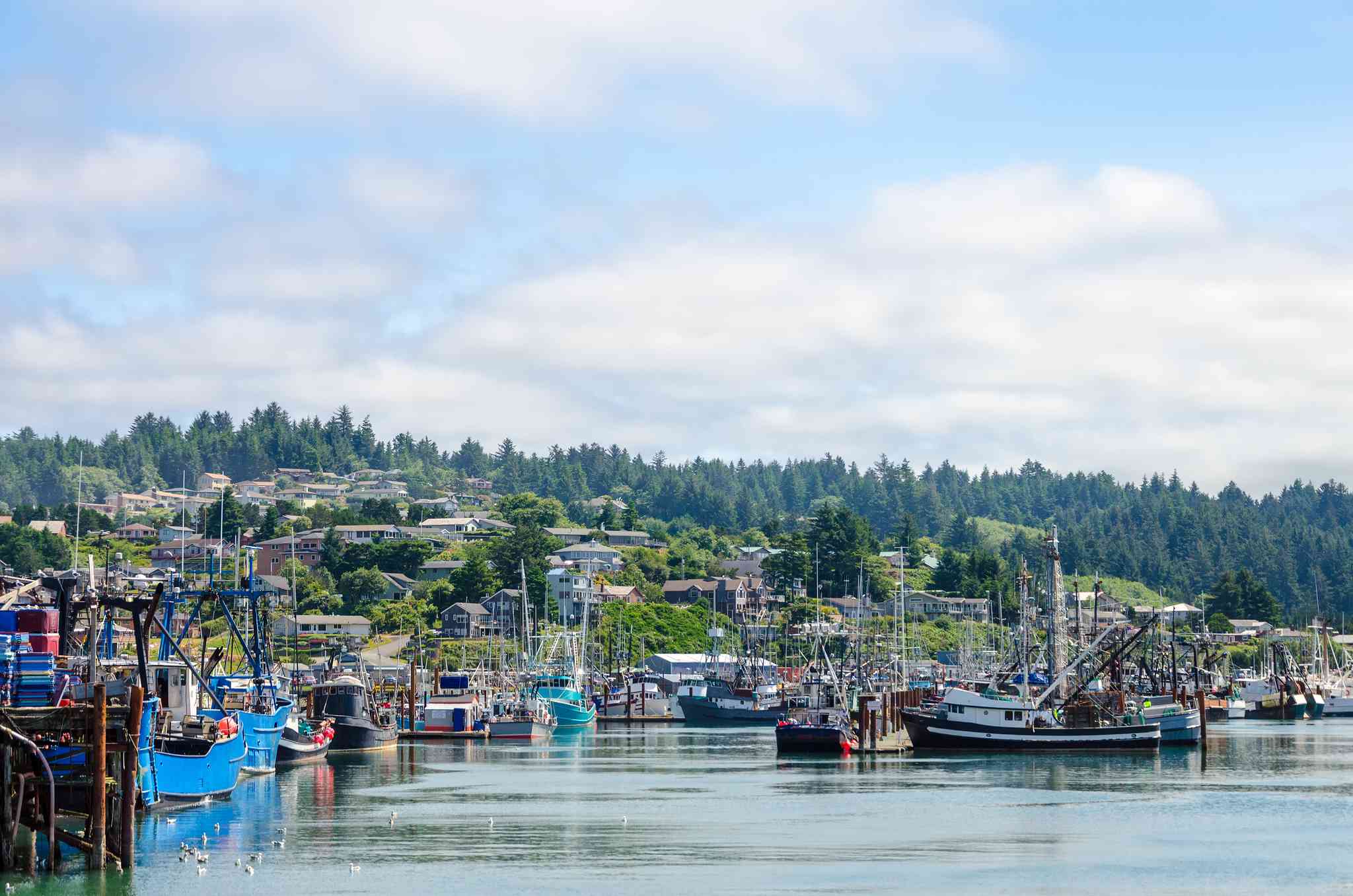 Vue pittoresque de Crescent City, CA - excursion privée d'une journée depuis Newport, OR - photo 6