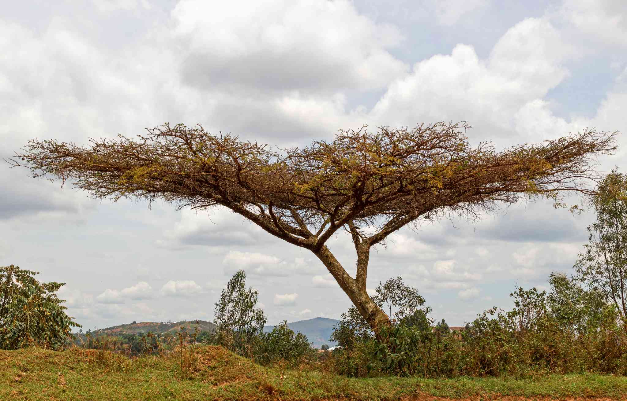 Scenic view of Ngozi - private day trip from Bujumbura - photo 1
