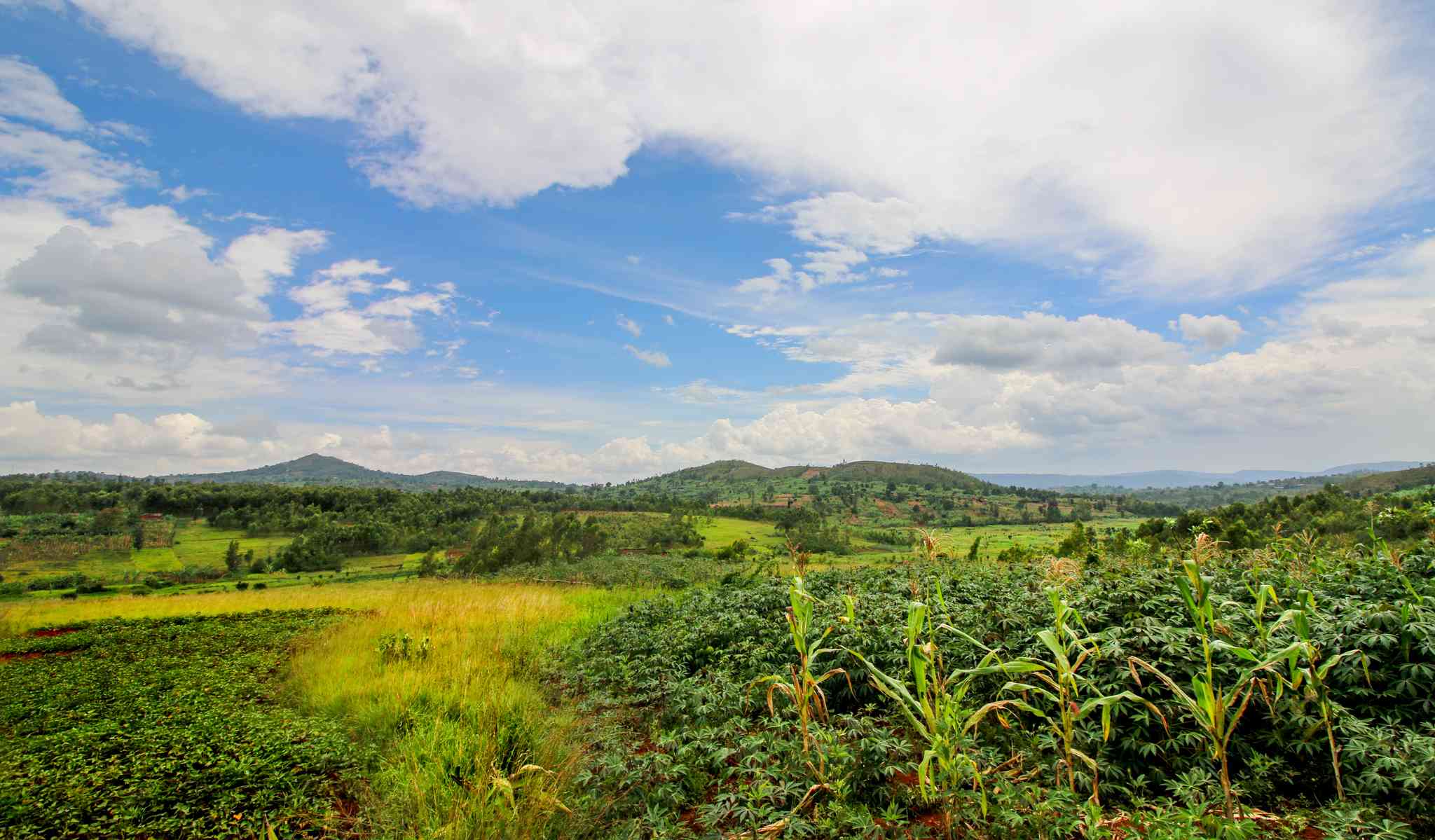 Scenic view of Ngozi - private day trip from Bujumbura - photo 4