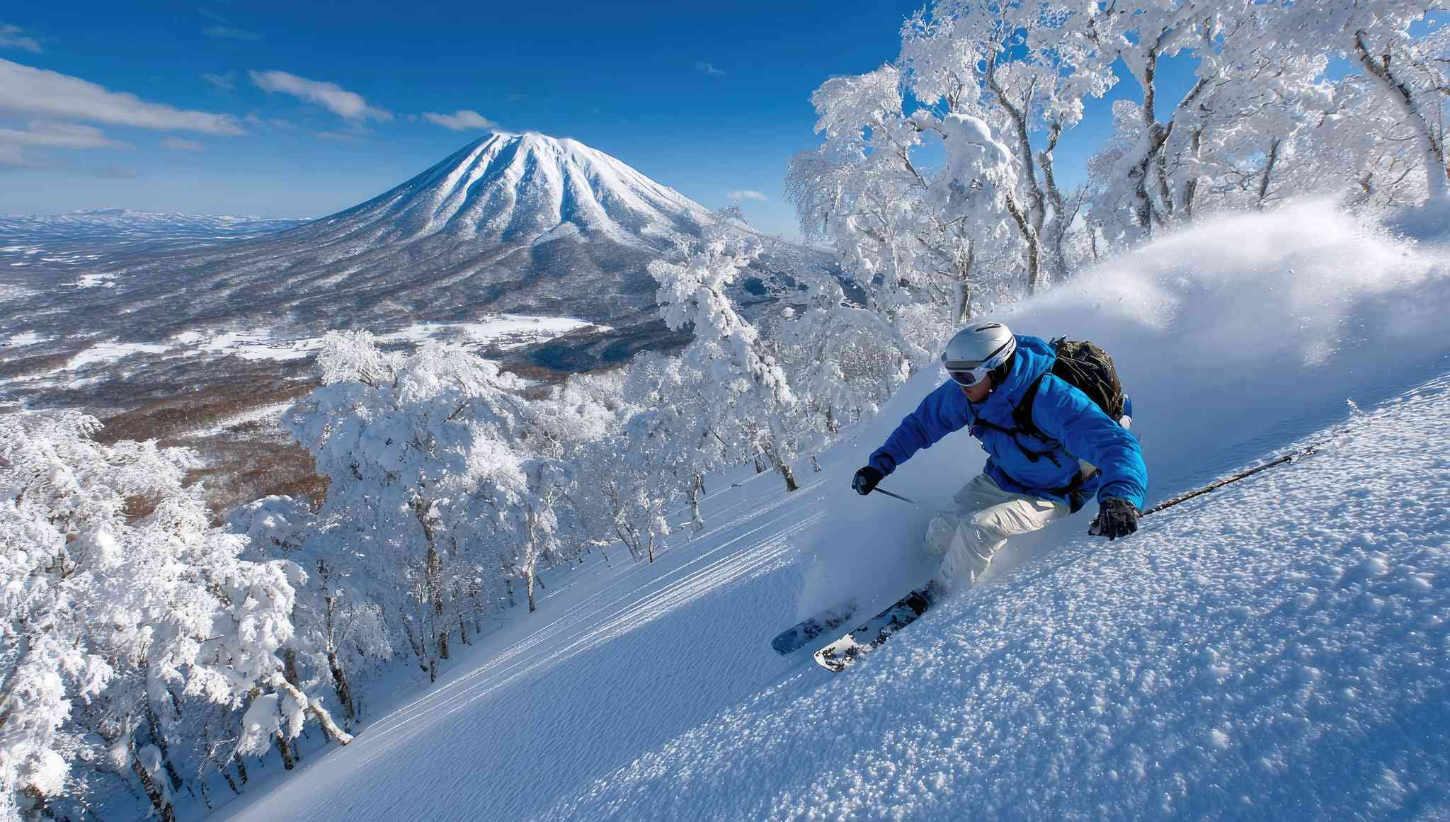 Vacker vy över Sapporo - privat dagsutflykt från Niseko - foto 7