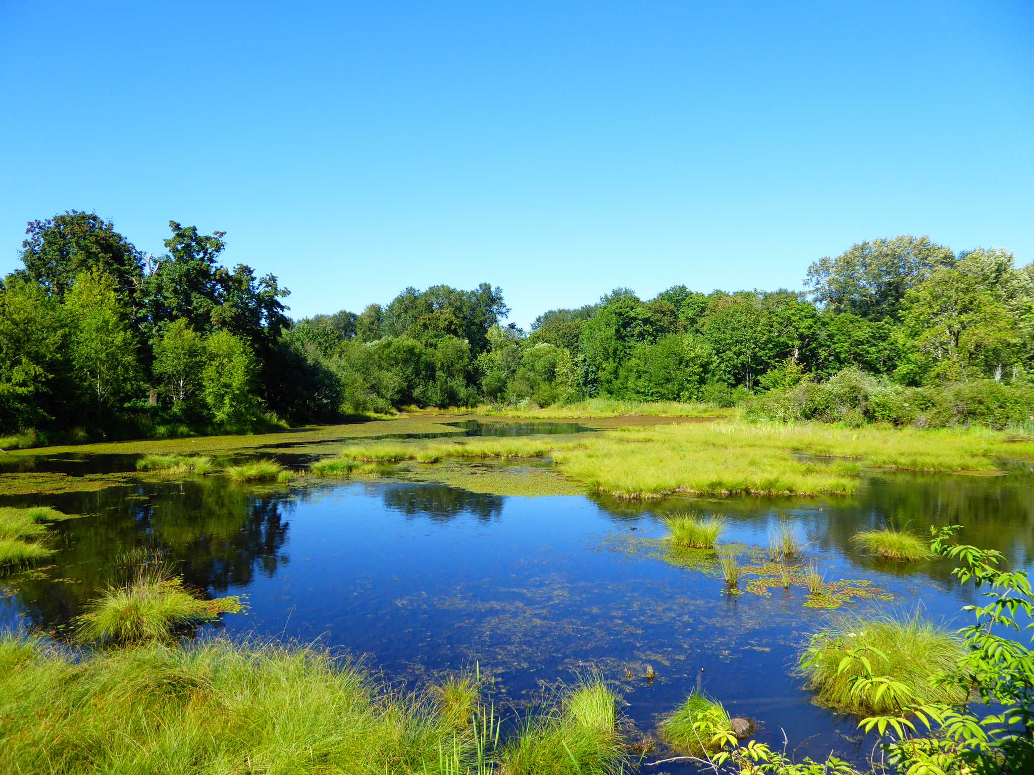 Visit Nisqually National Wildlife Refuge on the way from seattle-wa-us to portland-or-us with Daytrip