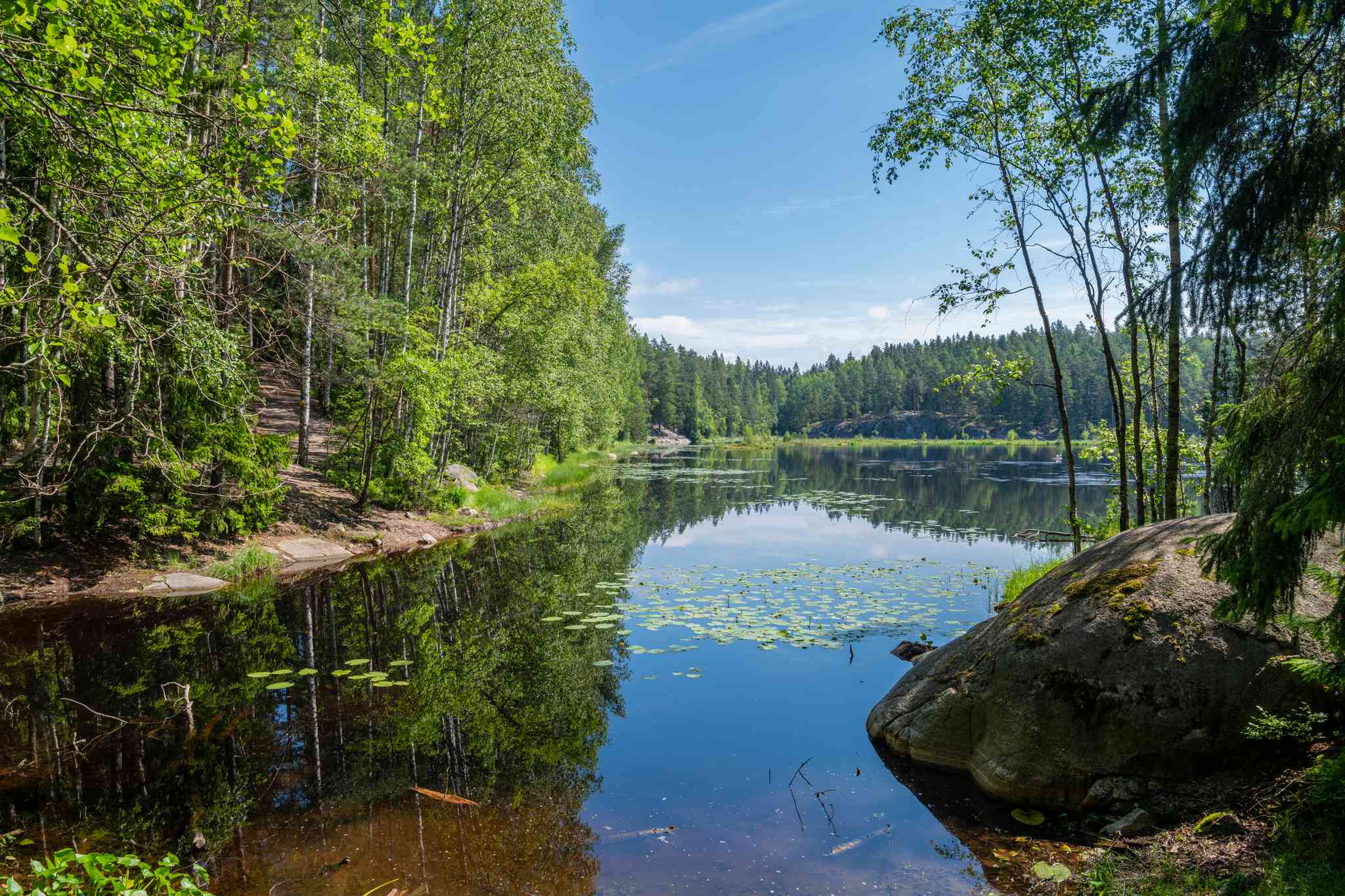 Blick auf die Landschaft von Helsinki - private Tagesreise von Nuuksio Nationalpark - Foto 7
