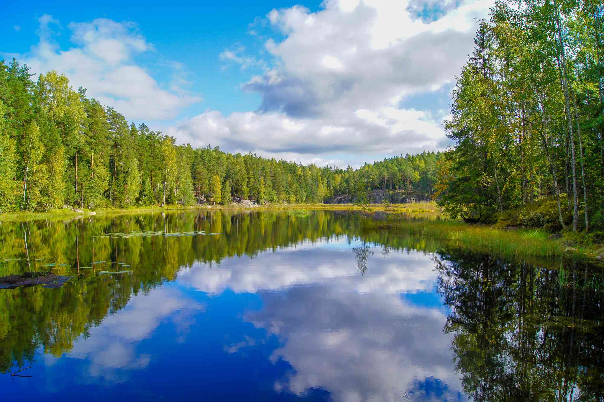 Blick auf die Landschaft von Helsinki - private Tagesreise von Nuuksio Nationalpark - Foto 8