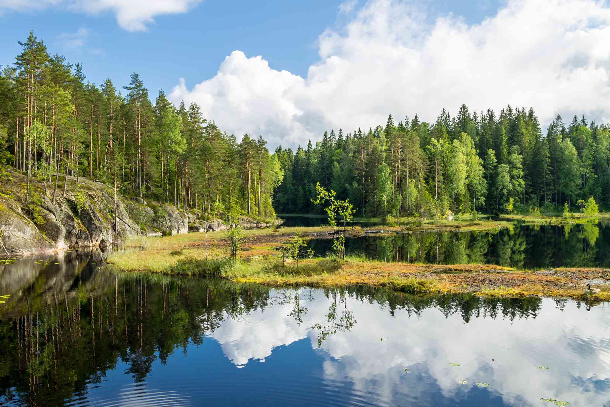 Blick auf die Landschaft von Helsinki - private Tagesreise von Nuuksio Nationalpark - Foto 9