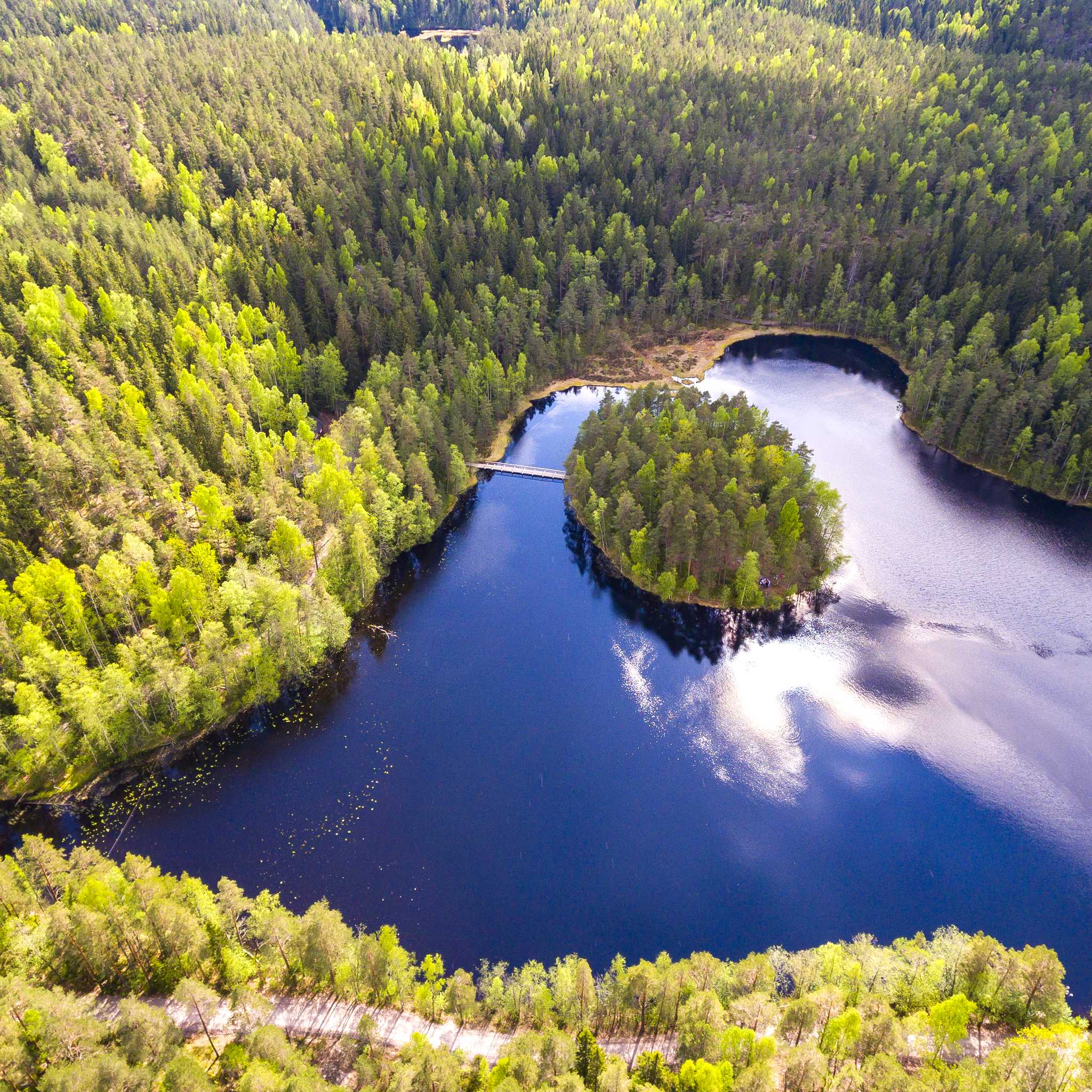 Private car transfers in Finland from Nuuksio National Park