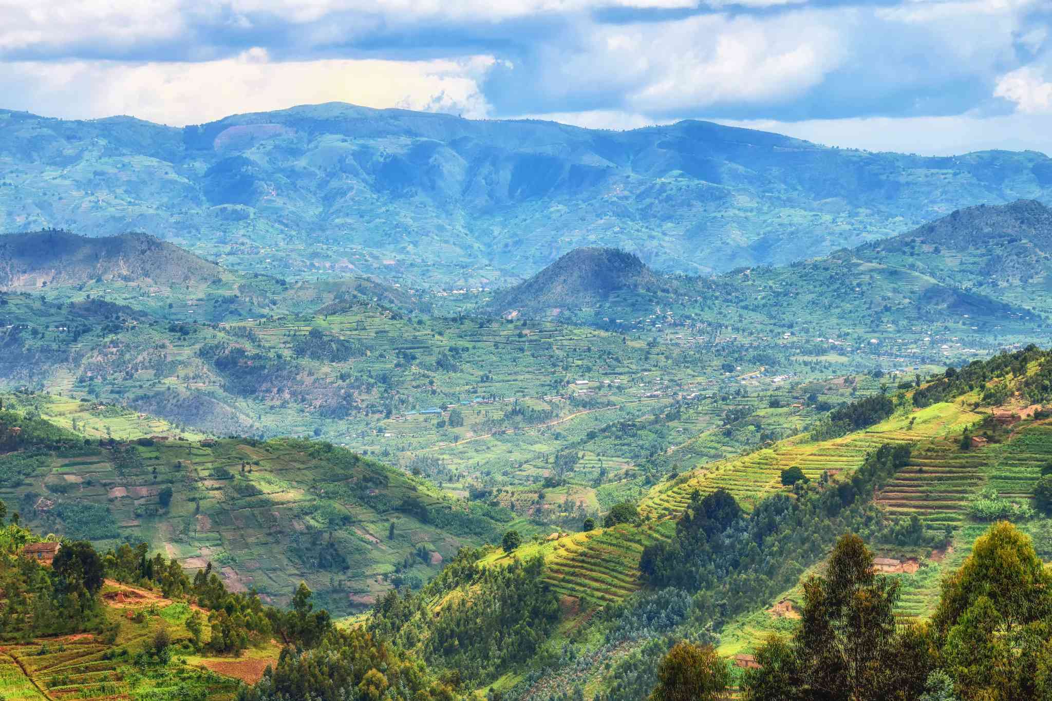 Blick auf die Landschaft von Kigali - private Tagesreise von Nyungwe-Nationalpark - Foto 4