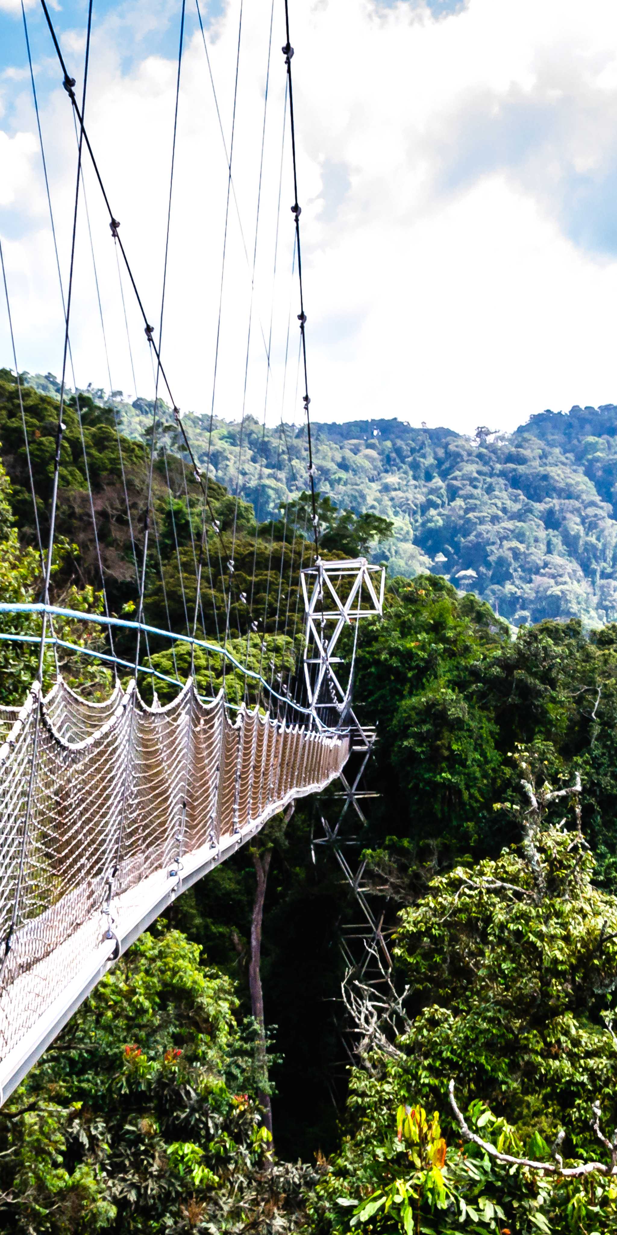 纽恩威国家公园