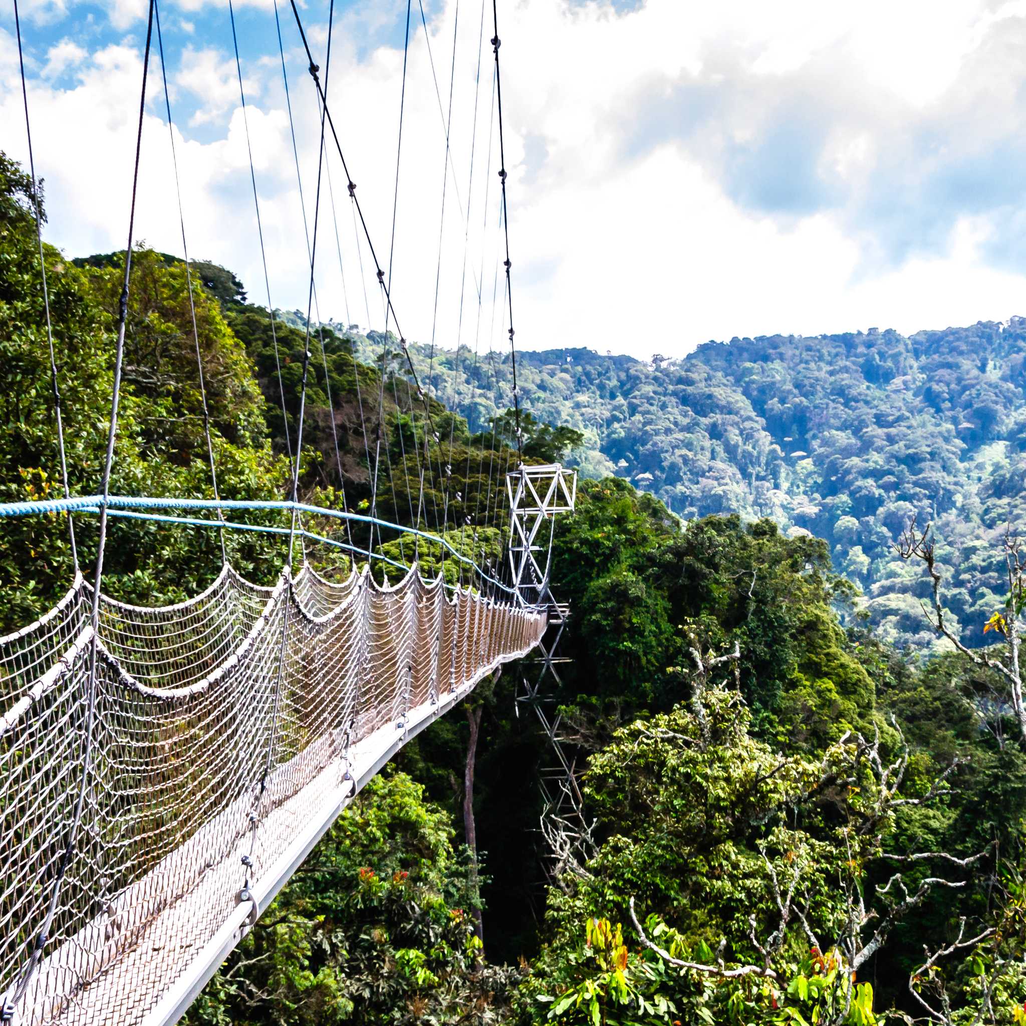 Private car transfers in Rwanda from Nyungwe National Park