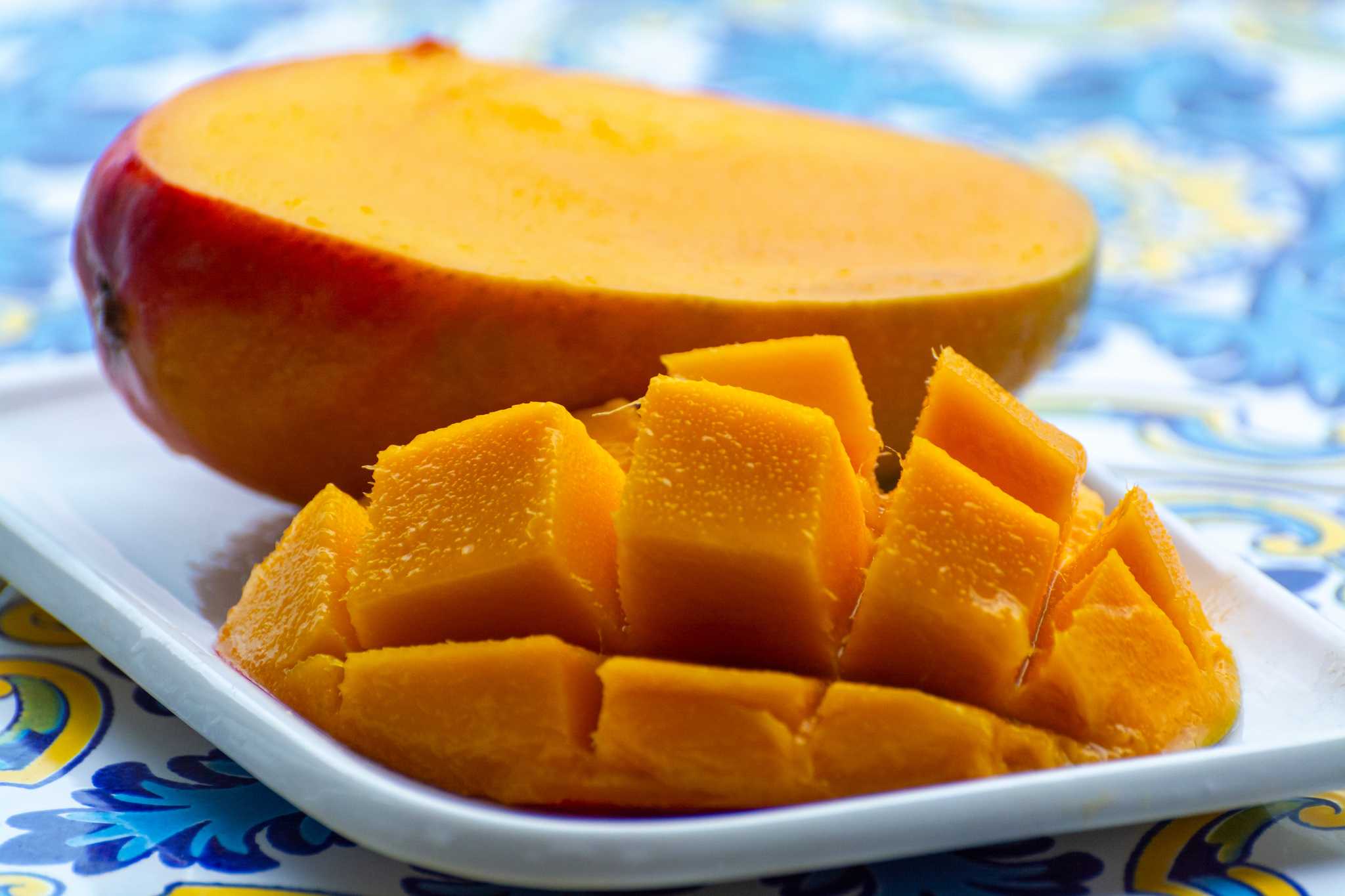 Mini Hollywood Oasys