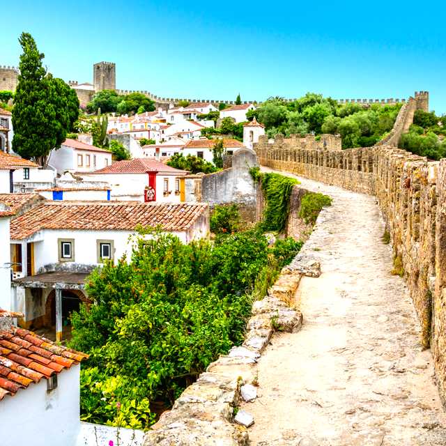 Nazare to Obidos and Caldas da Rainha: Private day trip