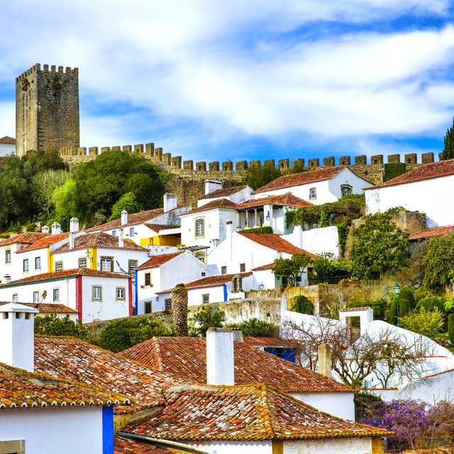 Cascais to Obidos: Private day trip