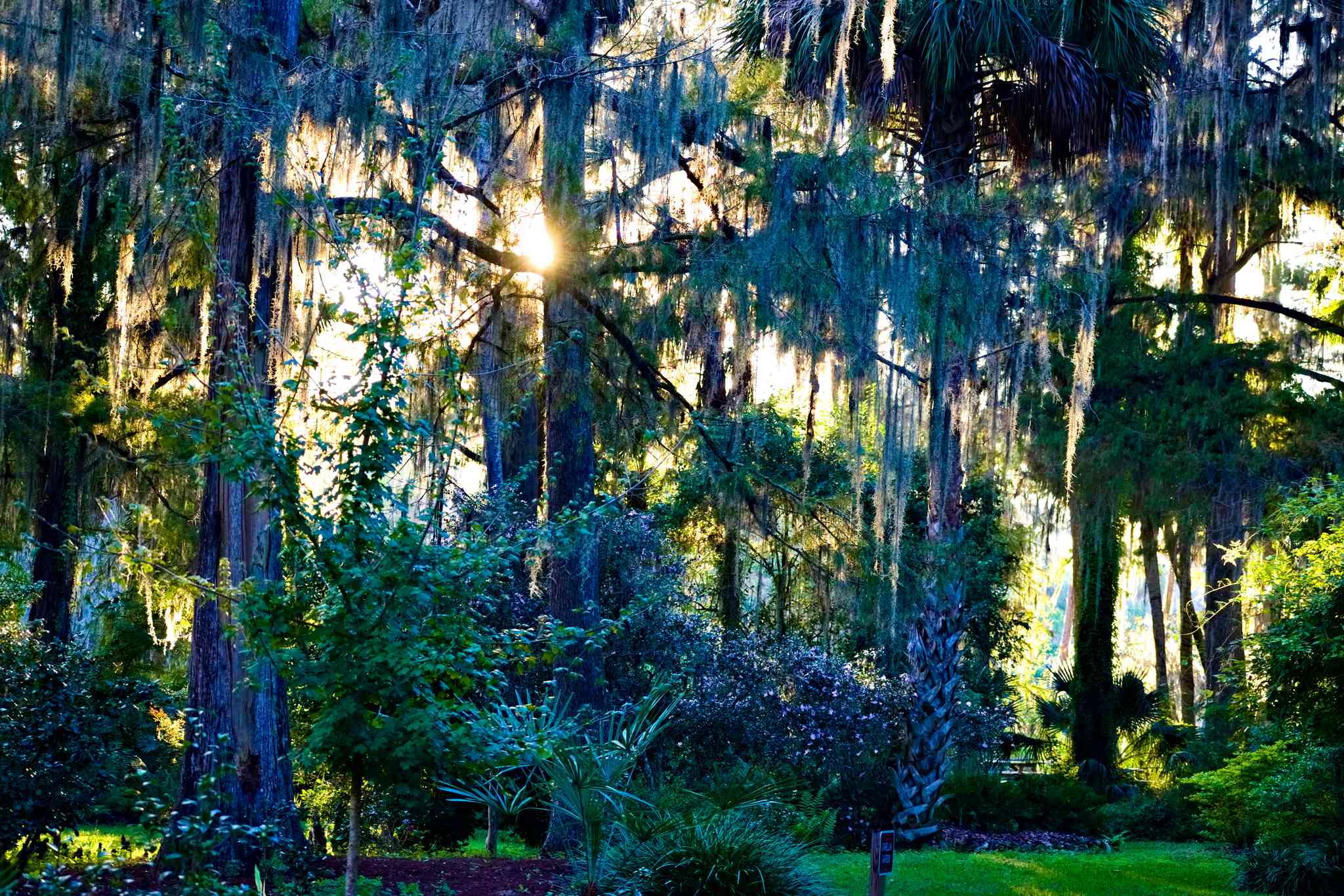 Vista cênica de Orlando International Airport - excursão particular de um dia de Ocala, FL - foto 4