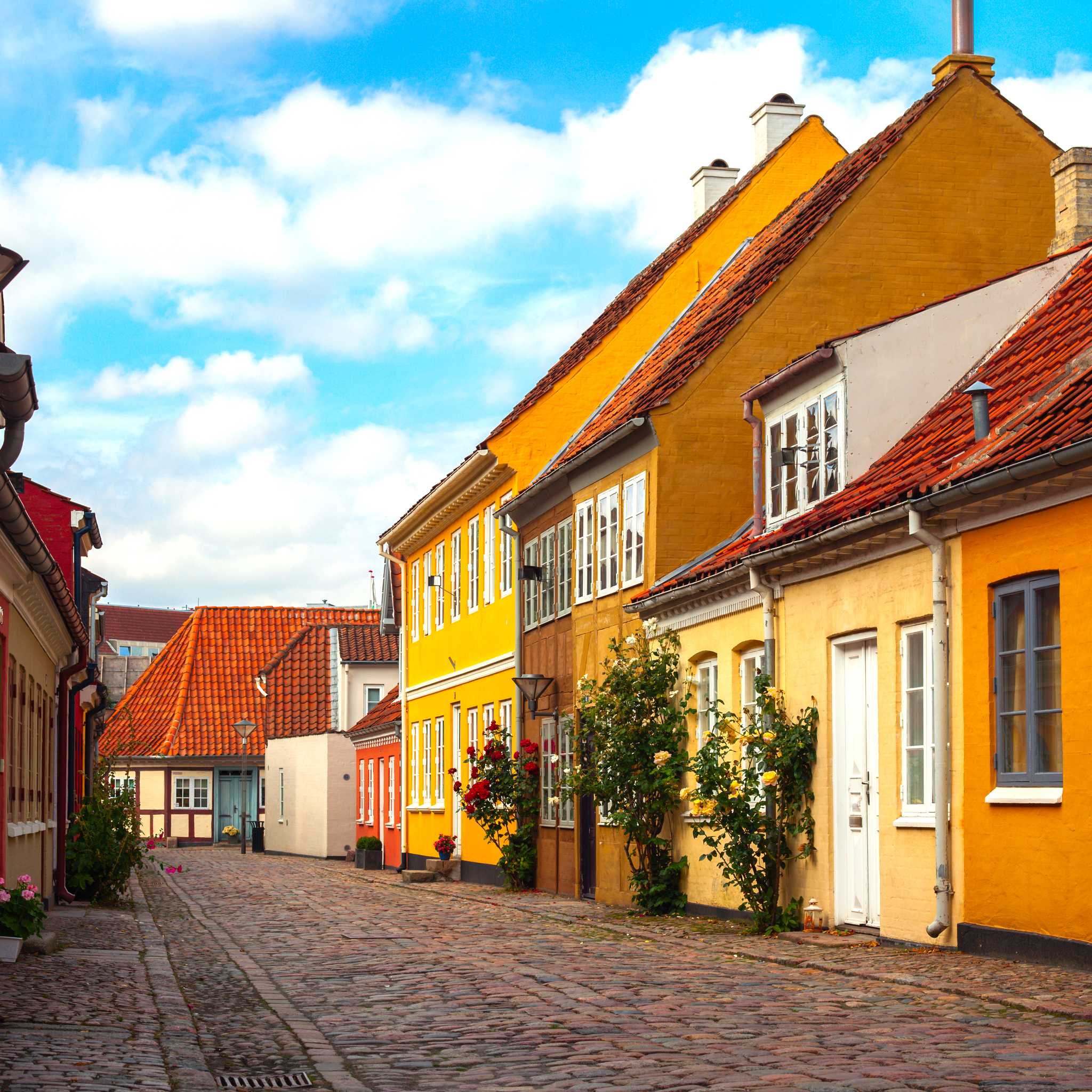 Private car transfers in Denmark from Odense