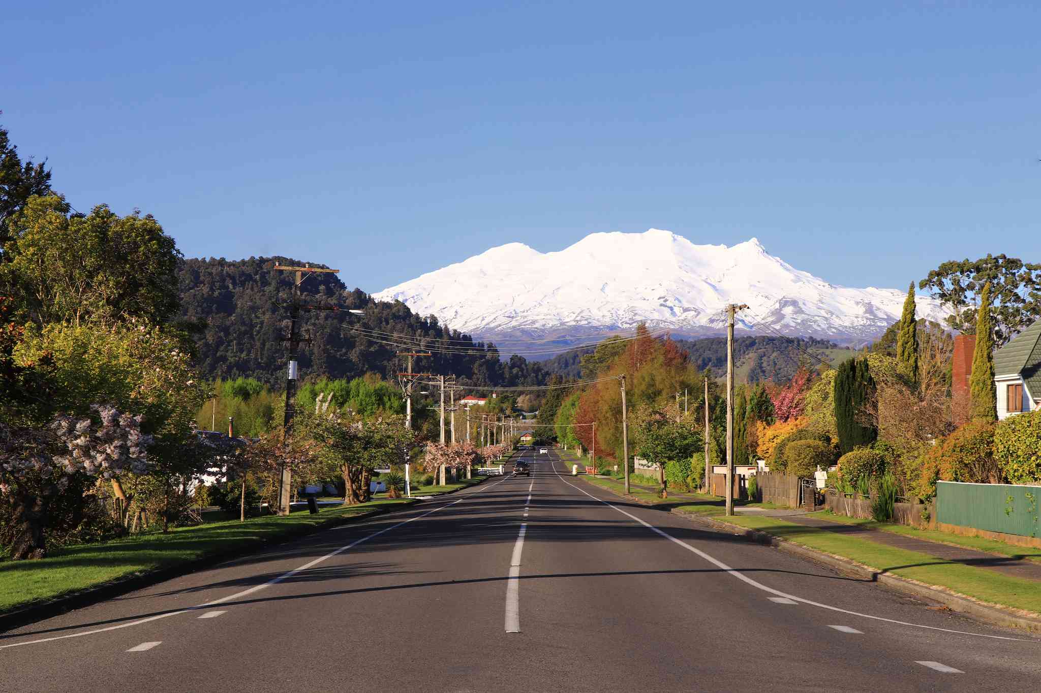 Vista panorámica de Ohakune - excursión privada de un día desde Wellington - foto 3