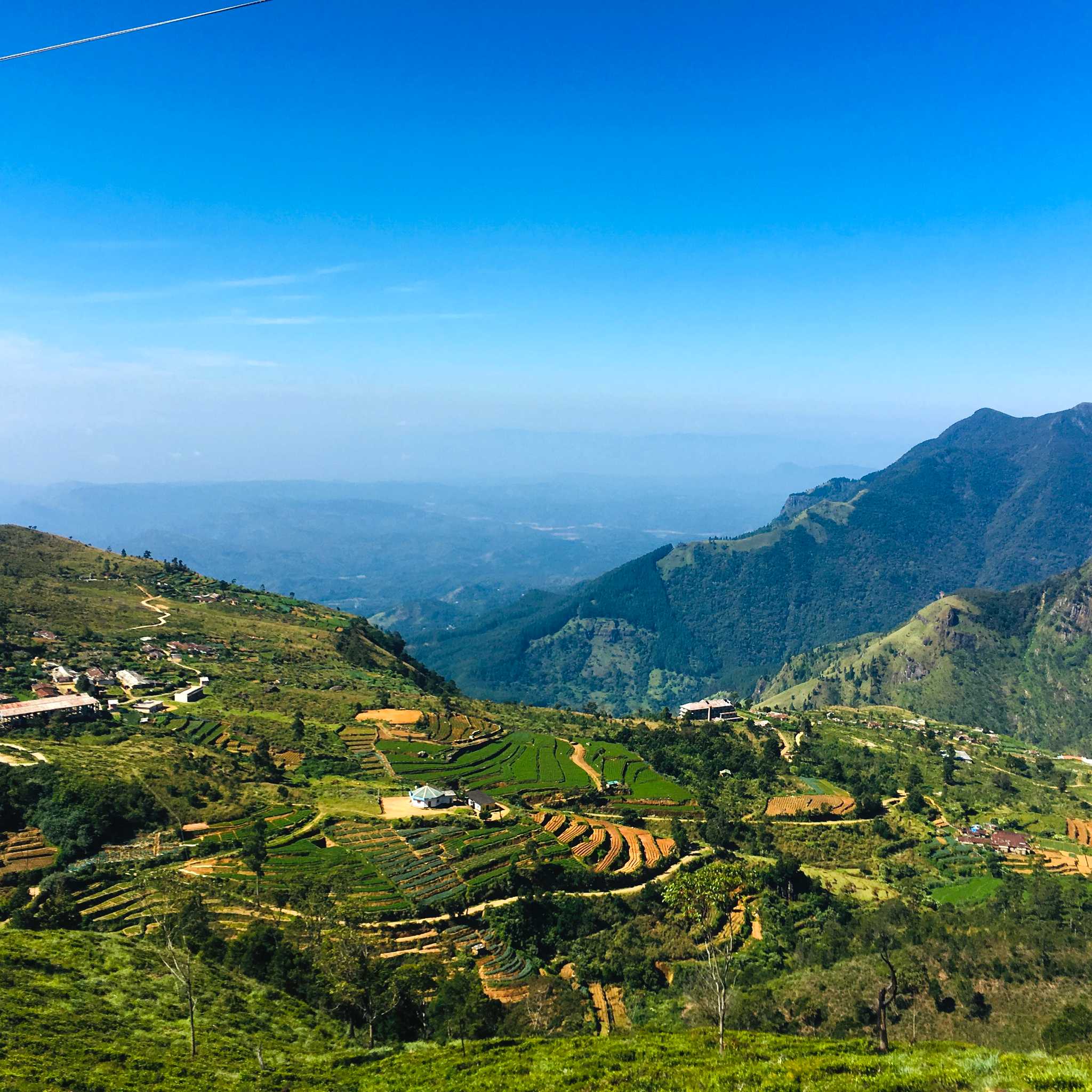 Ohiya