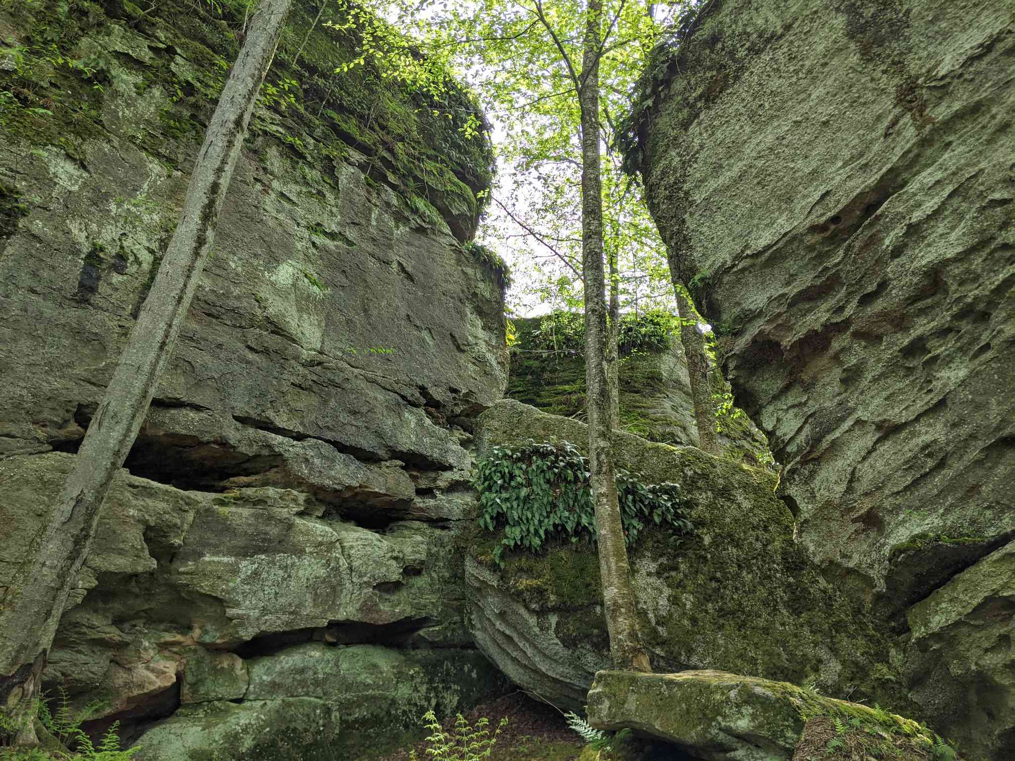 Scenic view of Buffalo, NY - private day trip from Olean, NY - photo 6
