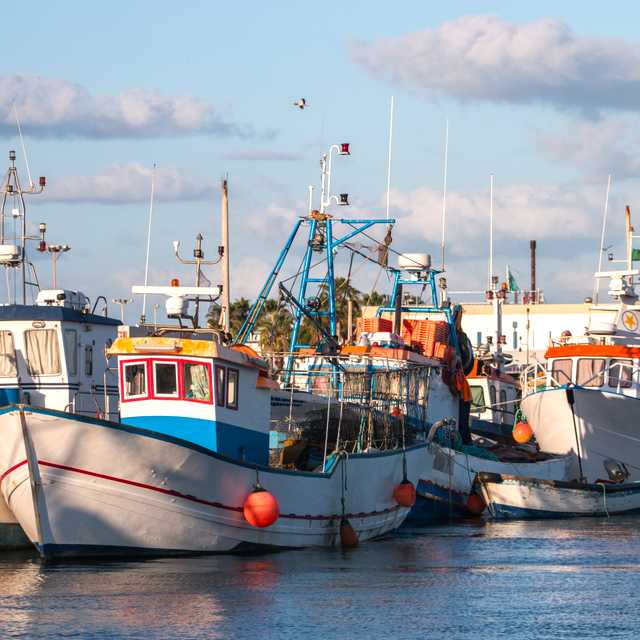 Faro City to Olhao and Falesia beach: Private day trip