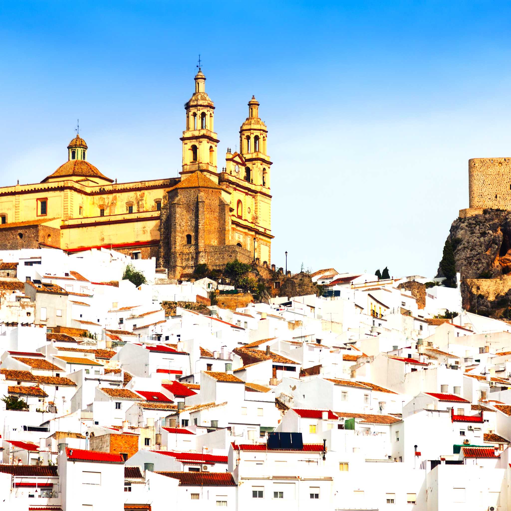 Olvera