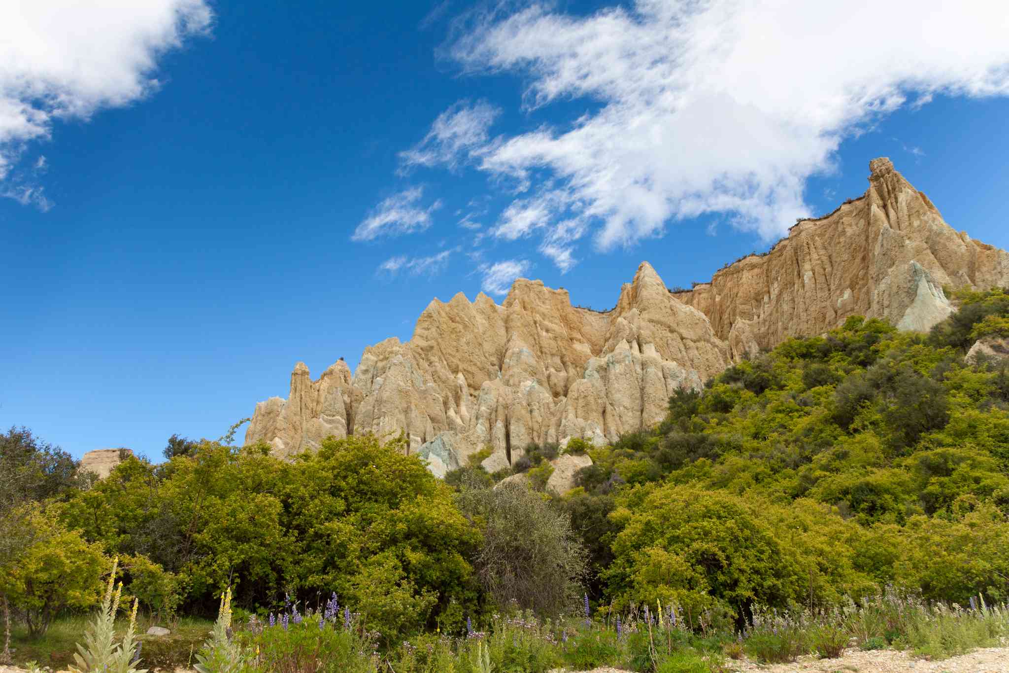 Vue pittoresque de Christchurch - excursion privée d'une journée depuis Omarama - photo 7