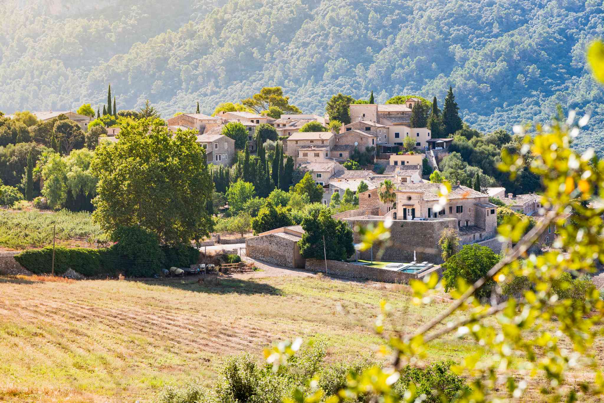 Palma de Mallorca 的风景 - 从 奥连特 出发的私人 一日游 - 照片 6