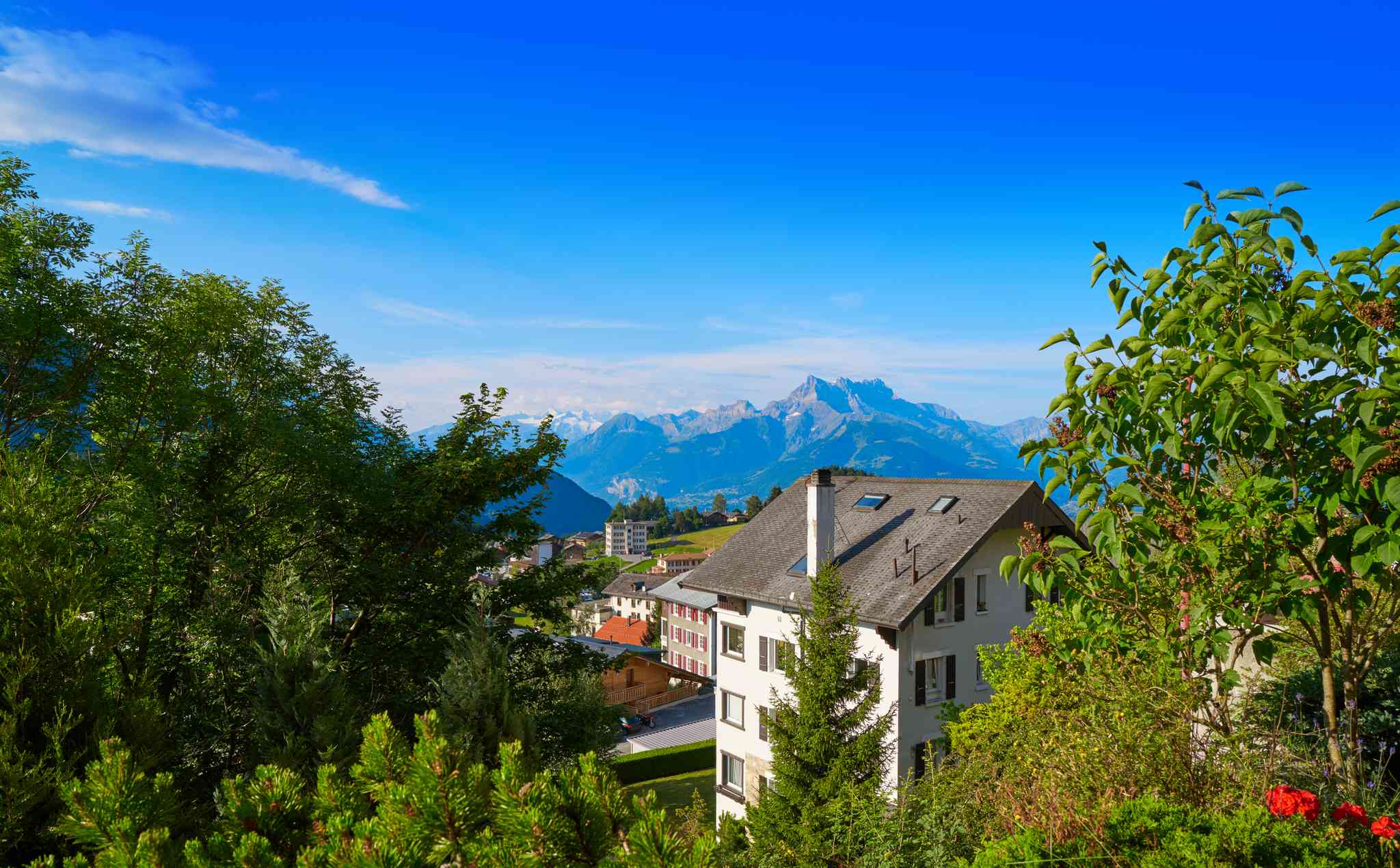 Scenic view of Ormont-Dessus - private day trip from Geneva - photo 3