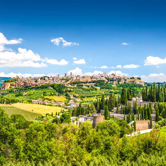 Rome to Orvieto and Assisi: Private day trip