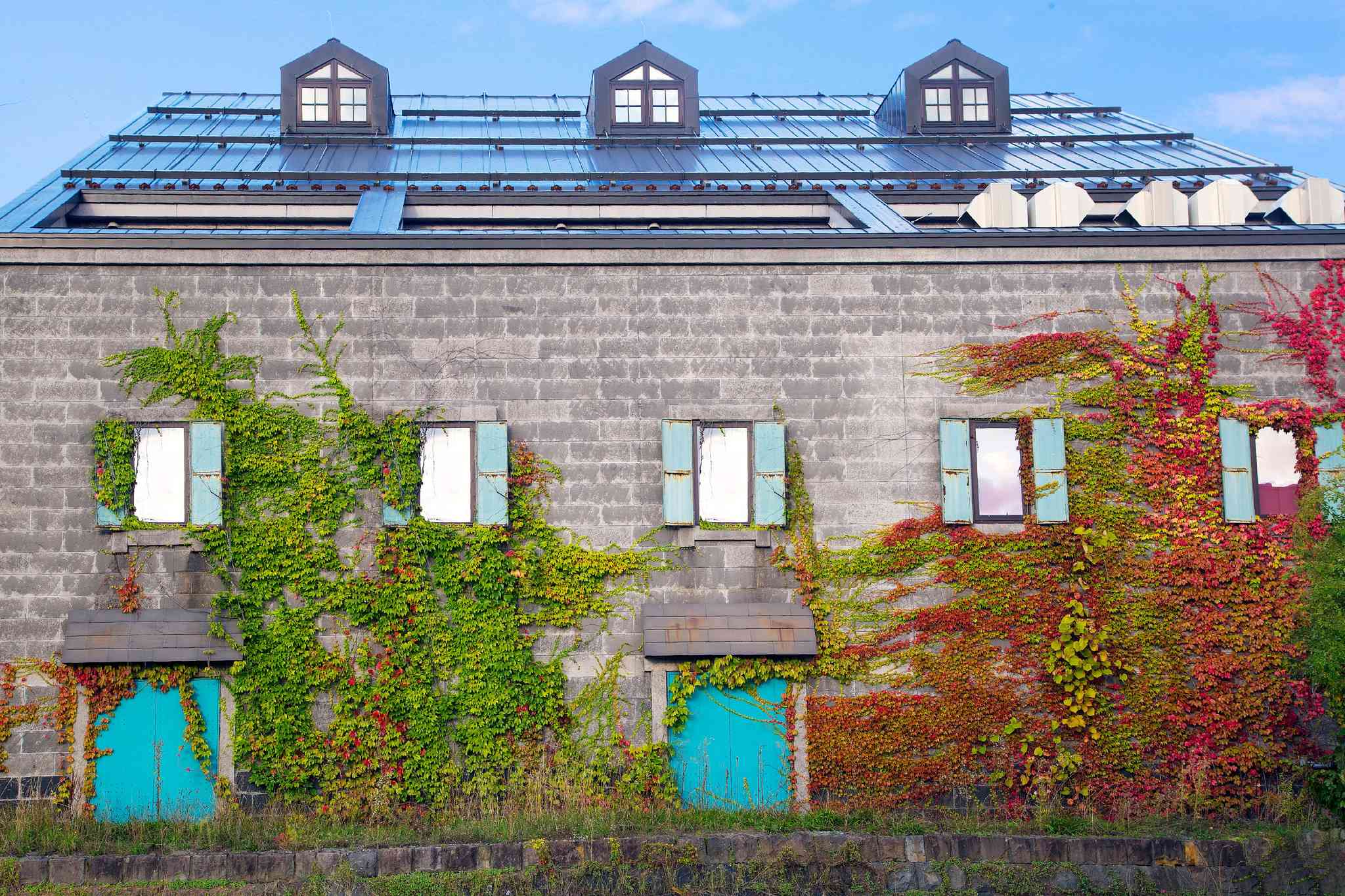 Vista cênica de Sapporo - excursão particular de um dia de Otaru - foto 7