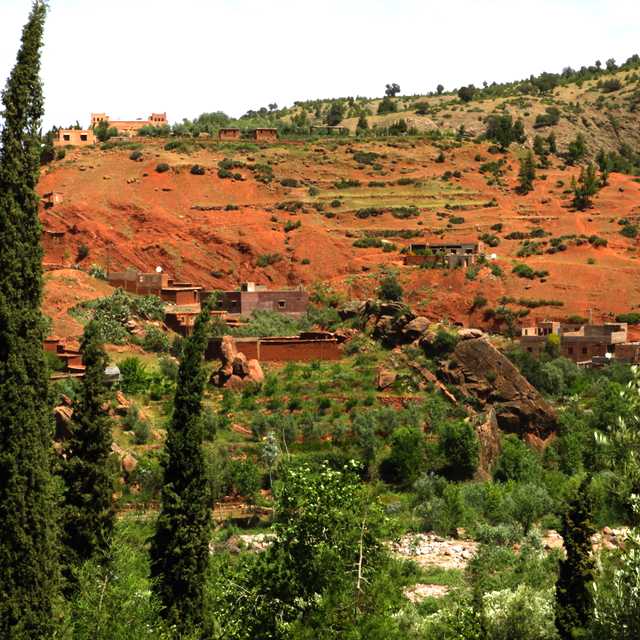 Marrakesh to Atlas wildflowers: Private day trip