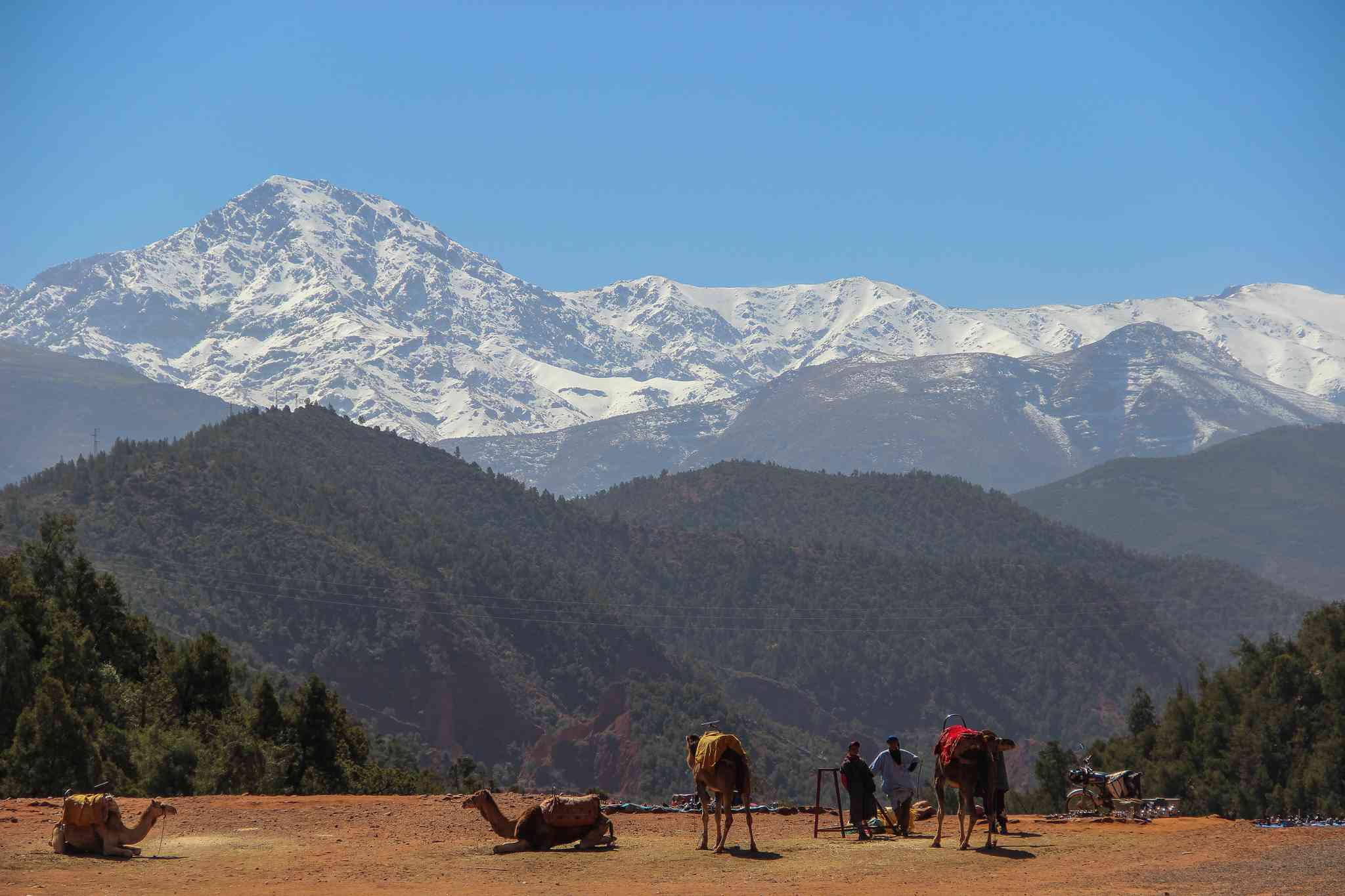 Blick auf die Landschaft von Ourika - private Tagesreise von Oualidia - Foto 3