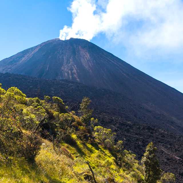 Guatemala City to Pacaya Volcano and Iximche: Day trip