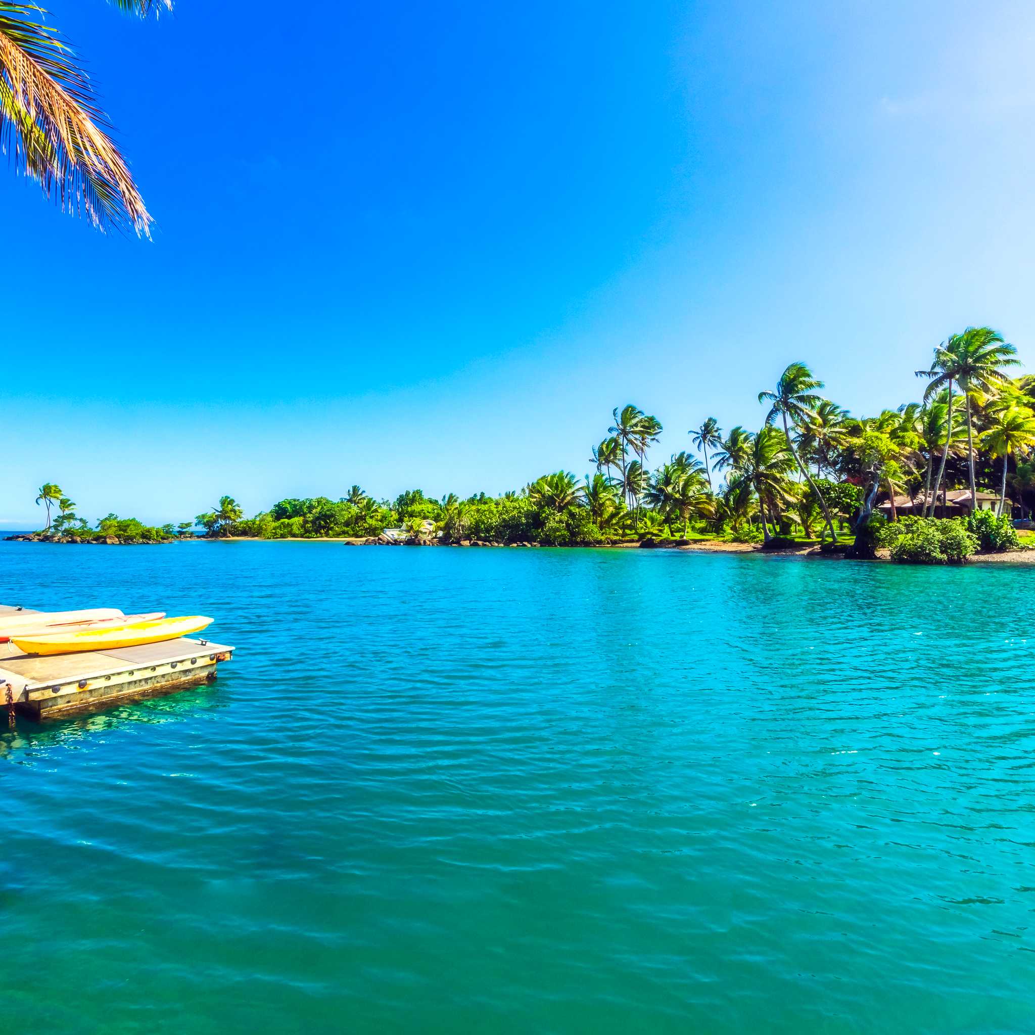 Private car transfers in Fiji from Pacific Harbour