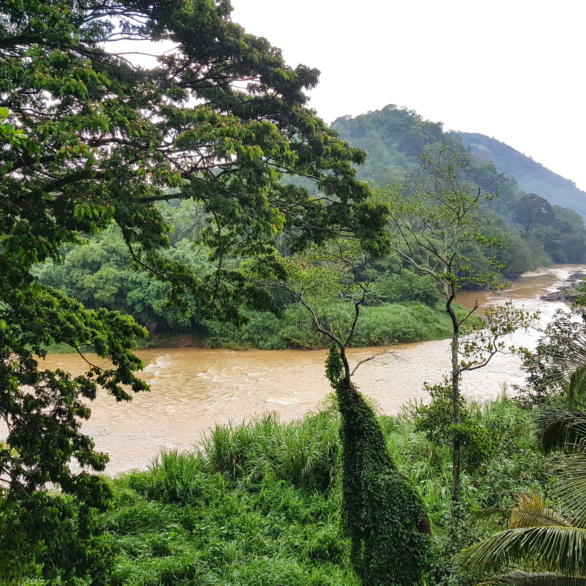 Pallekele