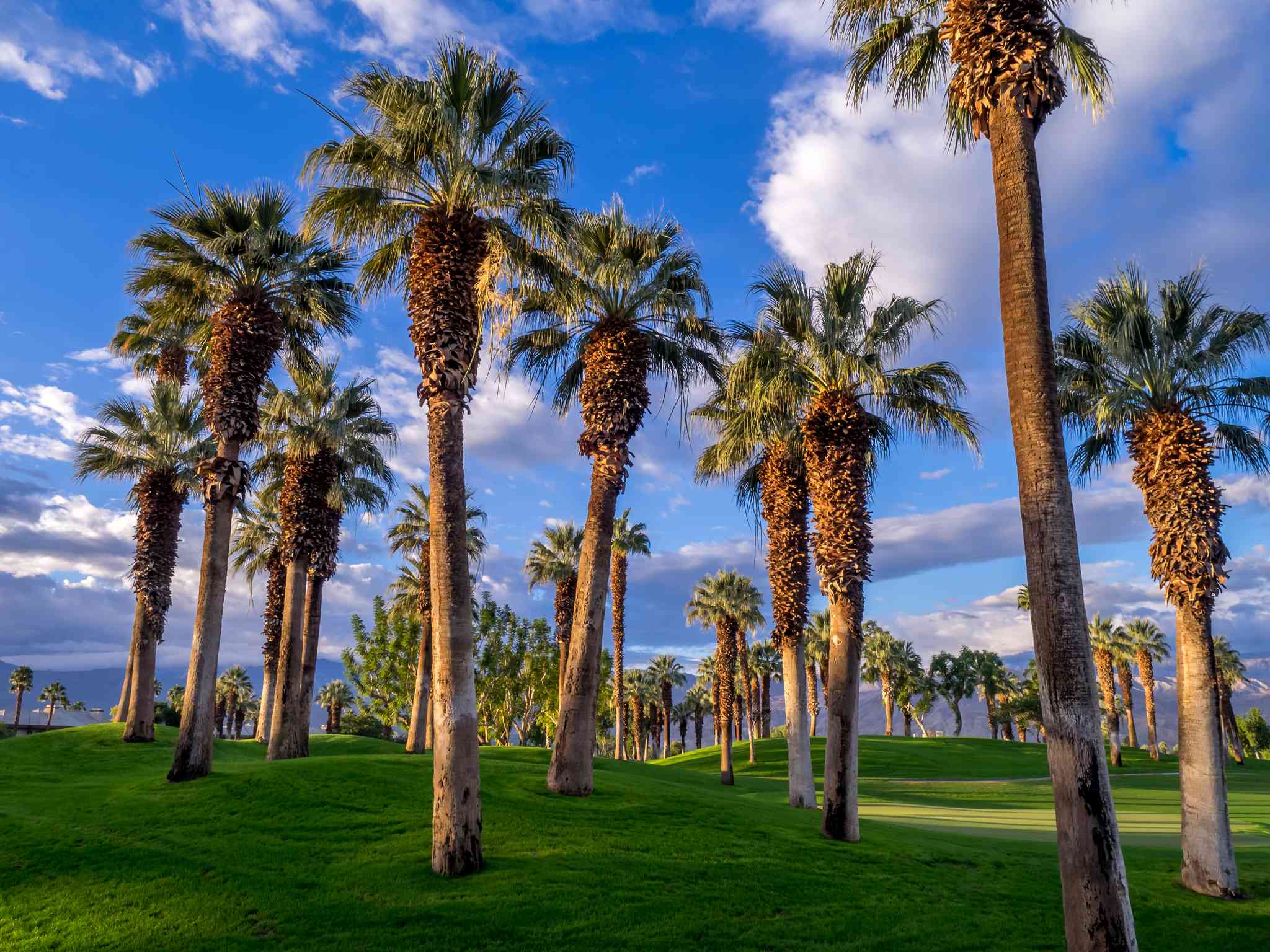 Westlake Village, CA 의 경치 - Palm Desert, CA 에서 출발하는 개인 day trip - 사진 5