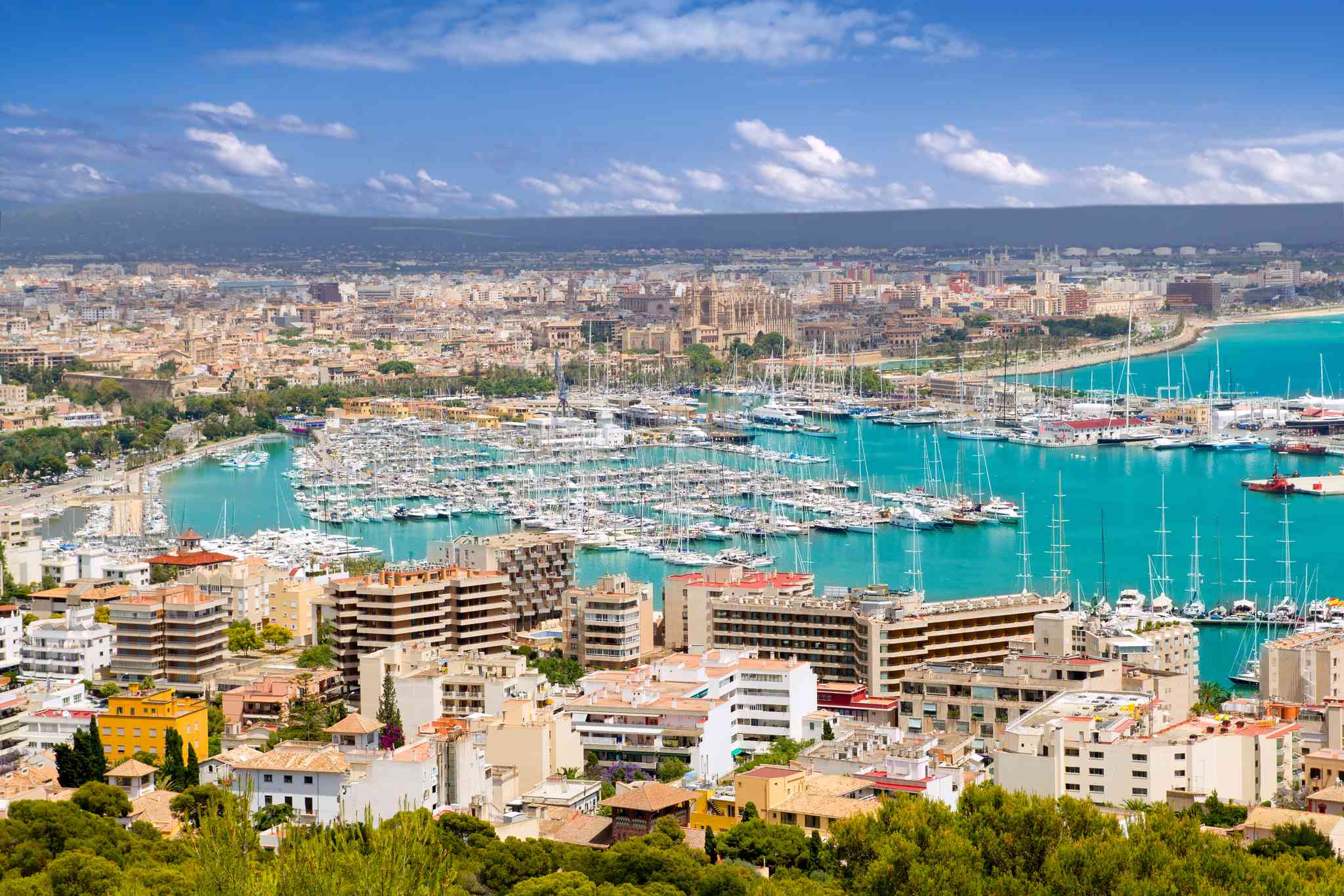 Blick auf die Landschaft von Palma de Mallorca - private Tagesreise von Alcudia - Foto 2